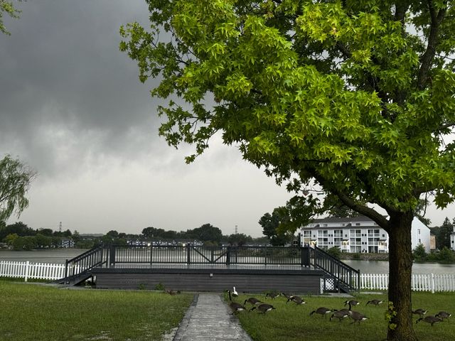 Featured photo from Sunset Deck (With/Without Garden)