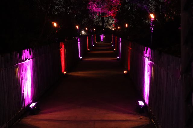 Featured photo from Lighting Design