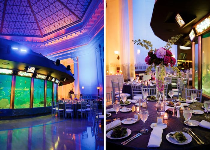 Two event spaces at Shedd Aquarium, outdoor dining area with pink floral centerpiece | PartySlate
