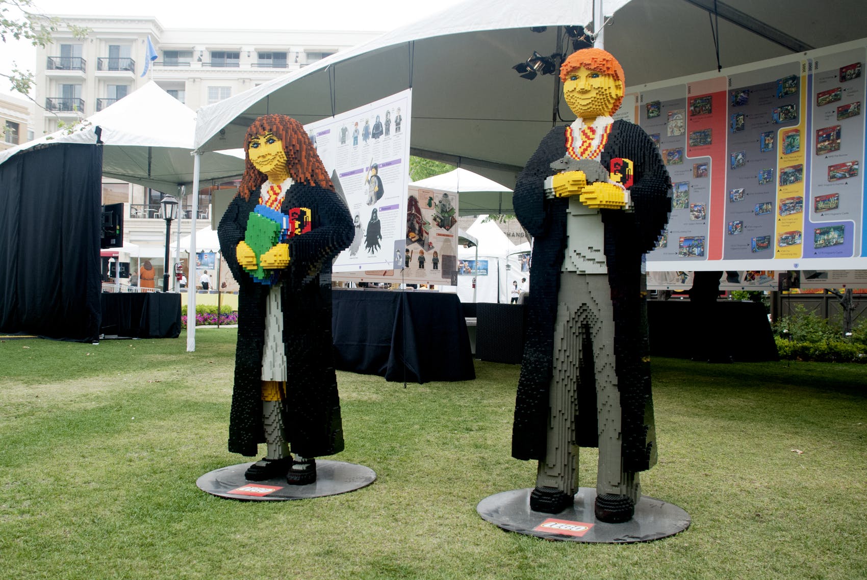 Tom Bercu Presents event