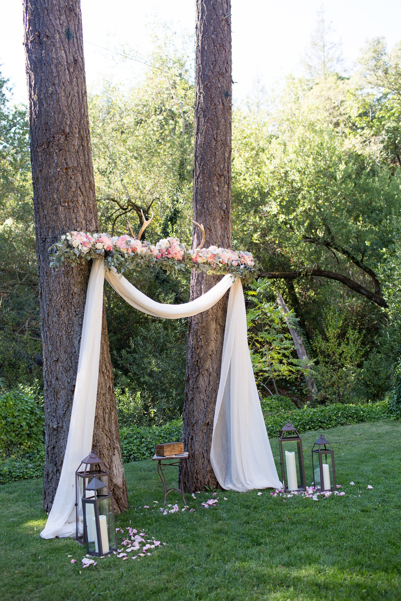 wedding arch of white drapery suspended between two tree trunks