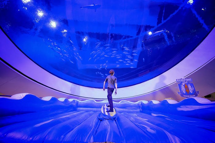 blue room with person standing in the middle