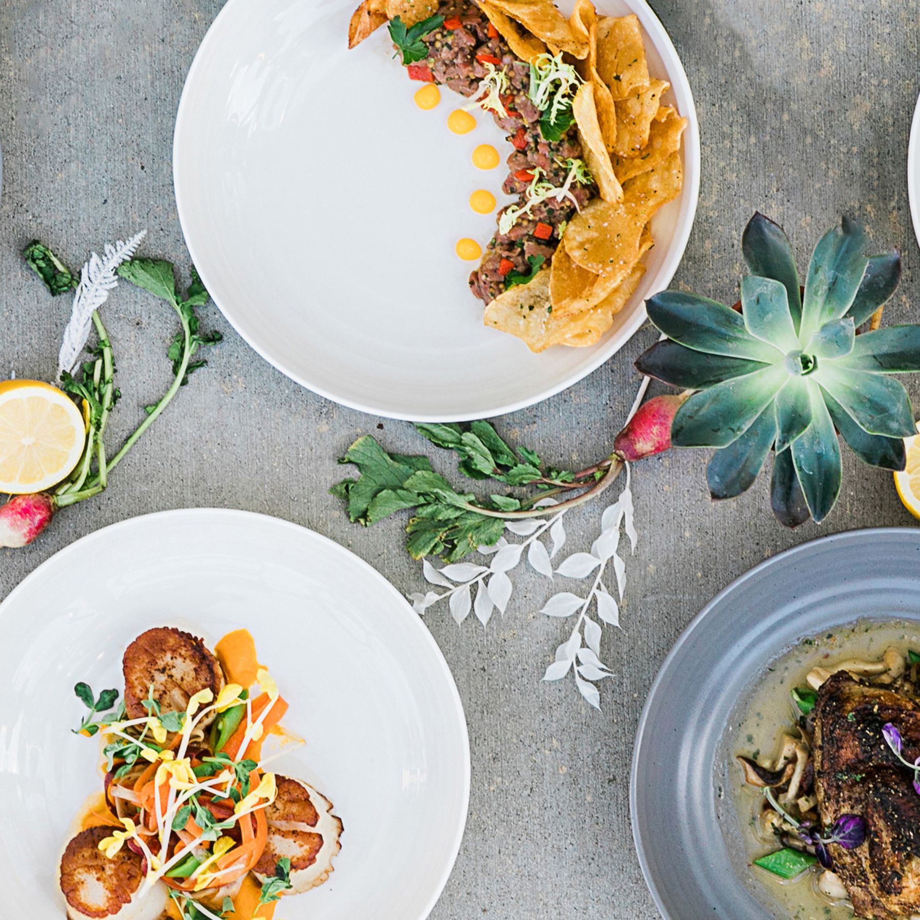 Two white plates and one gray plate with artfully plated catering on a gray linen tablecloth with fresh succulent details.