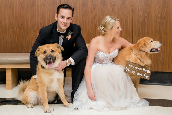 A couple crouches down with two dogs in hand