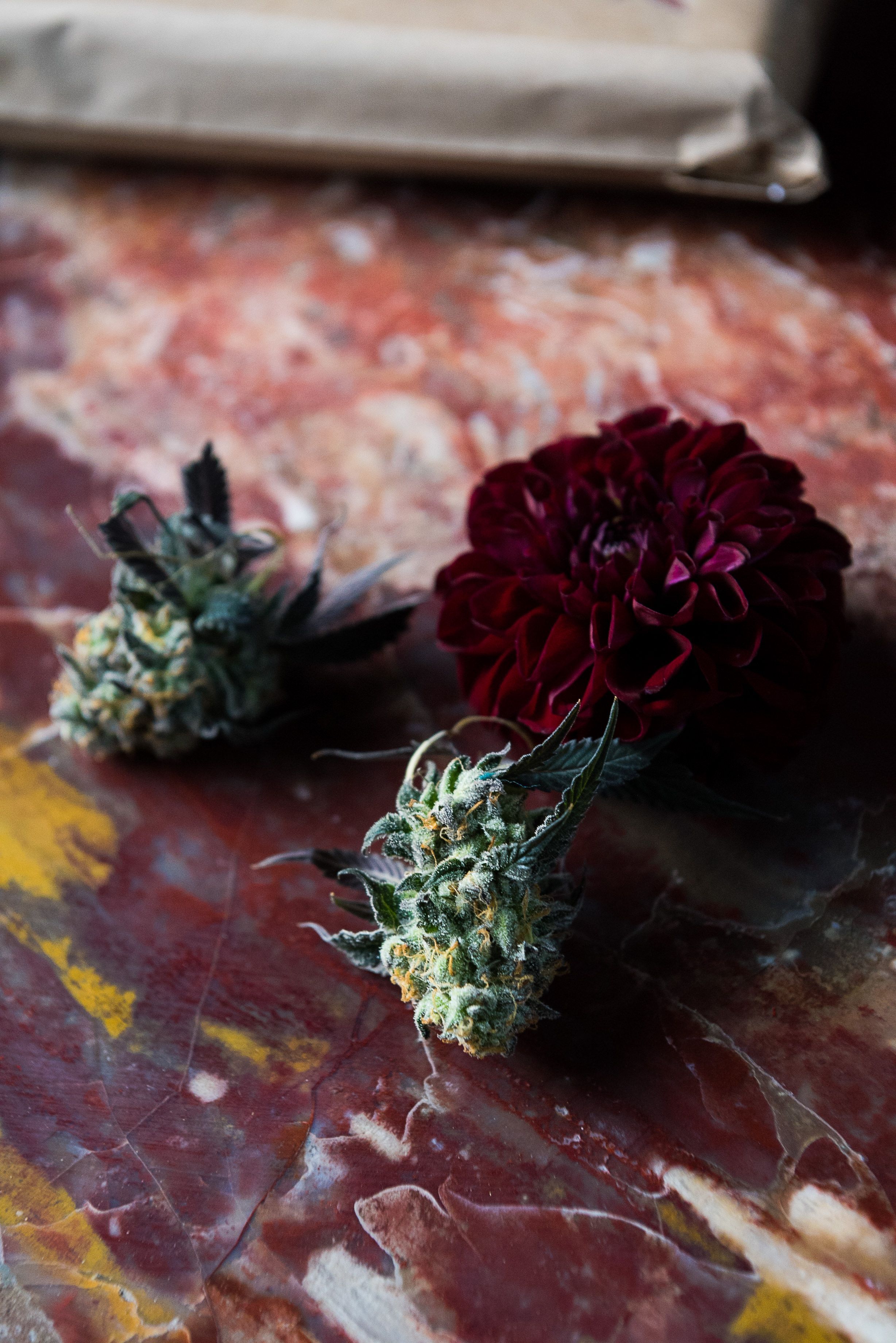 Cannabis bud boutonniere.