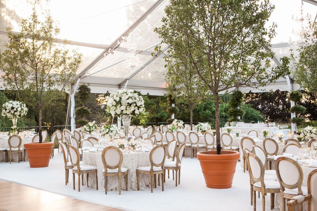 White table arrangements with mini tree decor | PartySlate