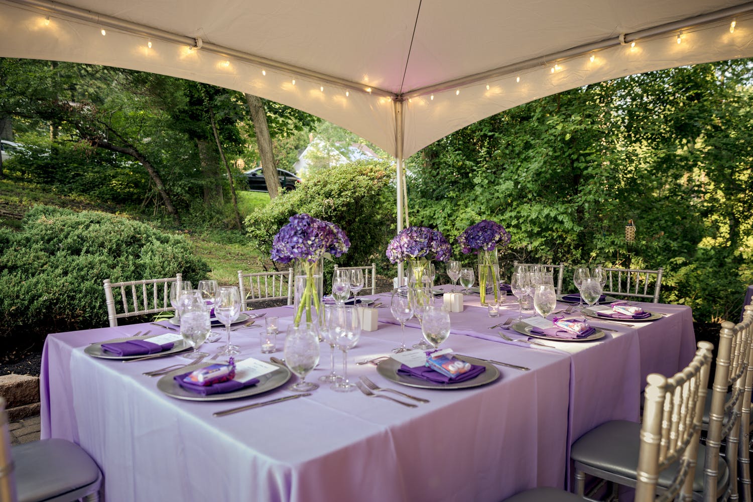 Tented Backyard Birthday Party With Violet Tablescape and Surrounding Greenery | PartySlate