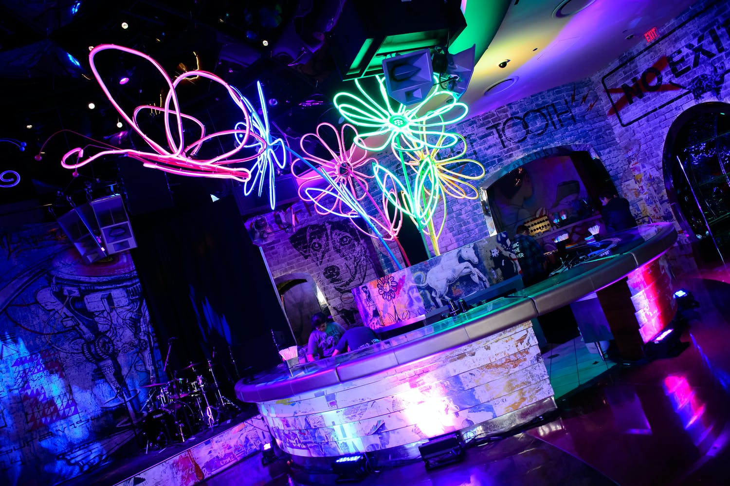 Glow-in-the-Dark Themed Sweet 16 Party With LED Flower Art | PartySlate