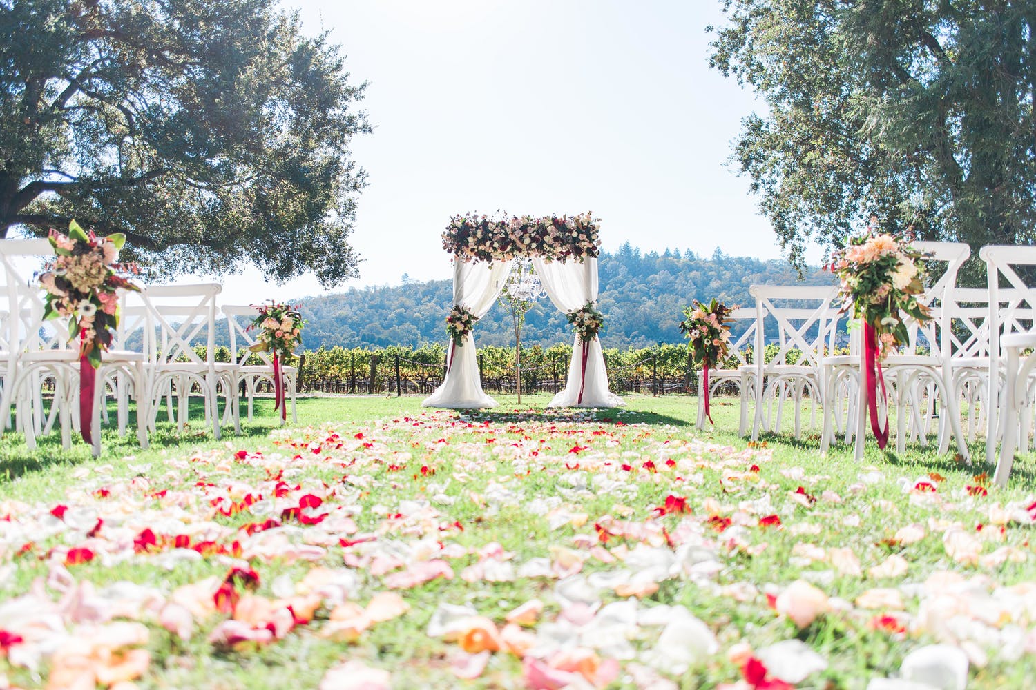 Wedding aisle blanketed in bright pink petals and floral arrangements on white ceremony chairs at Charles Krug Winery in St Helena, CA | PartySlate
