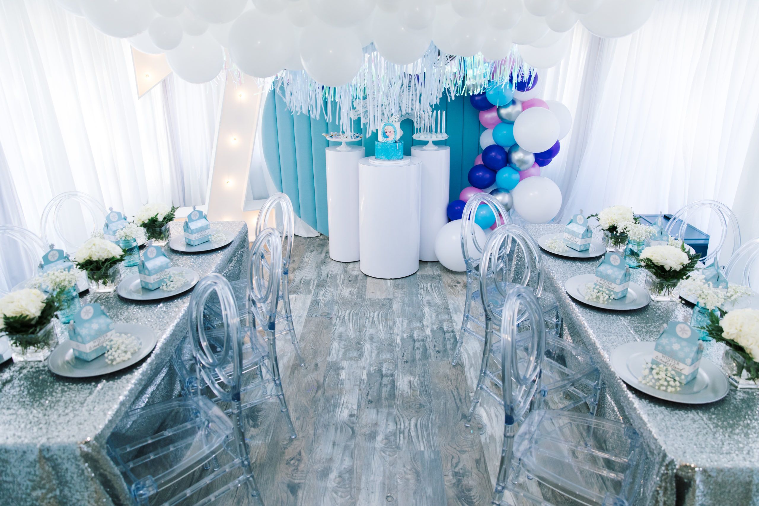 Frozen Themed Birthday Party