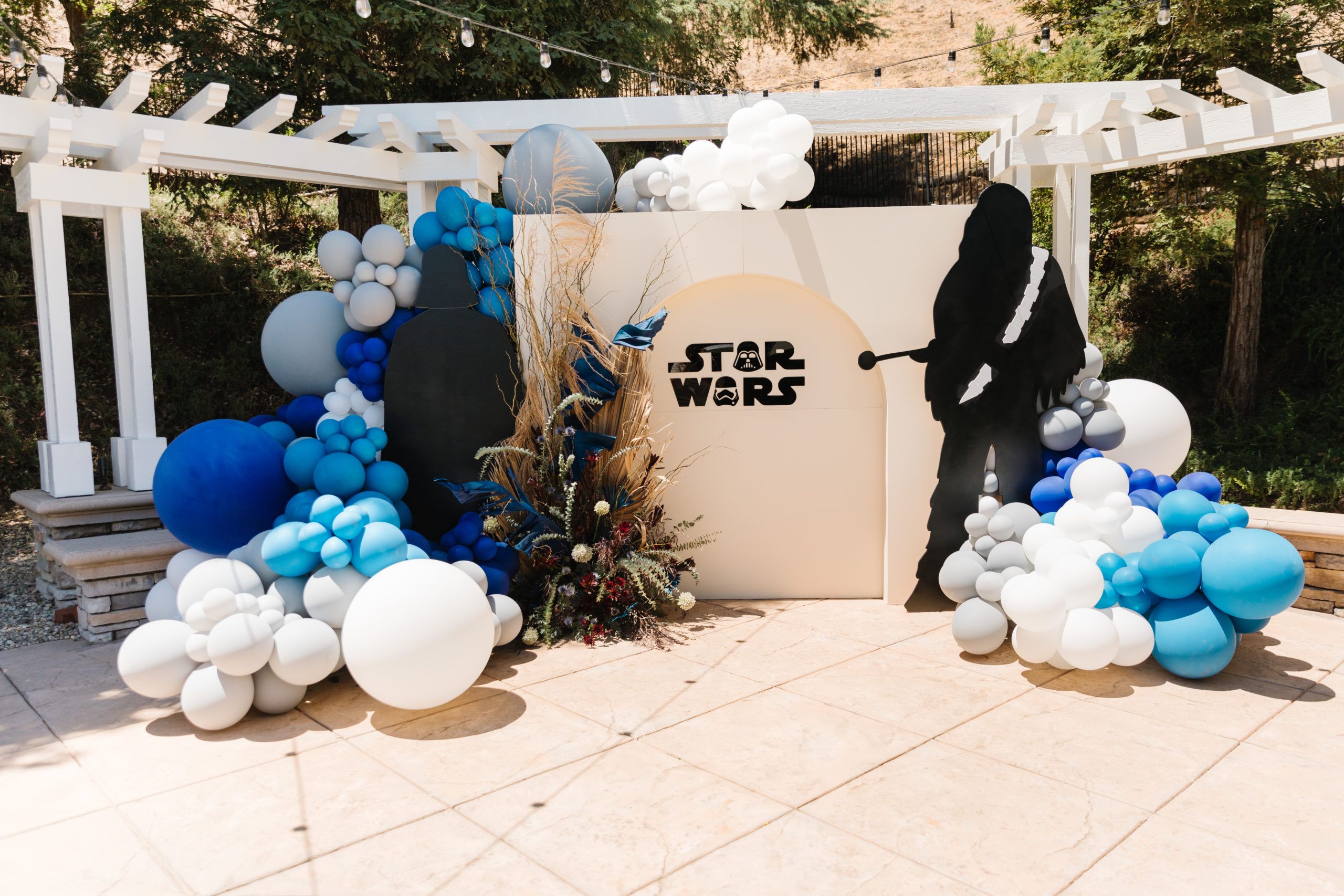 Star Wars Themed 5th Birthday