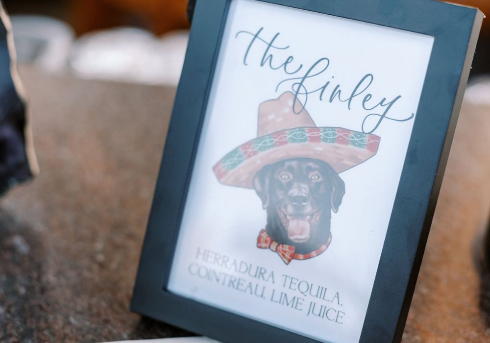 drawing of black dog wearing sombrero at wedding | PartySlate