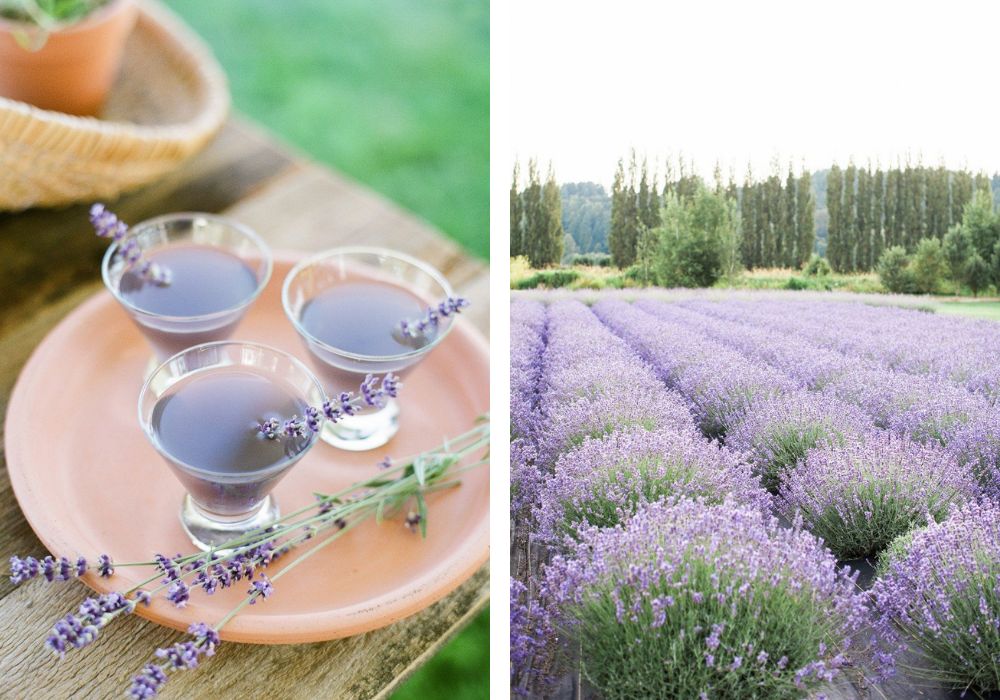 The left image shows periwinkle colored drinks and the right shows periwinkle flower beds