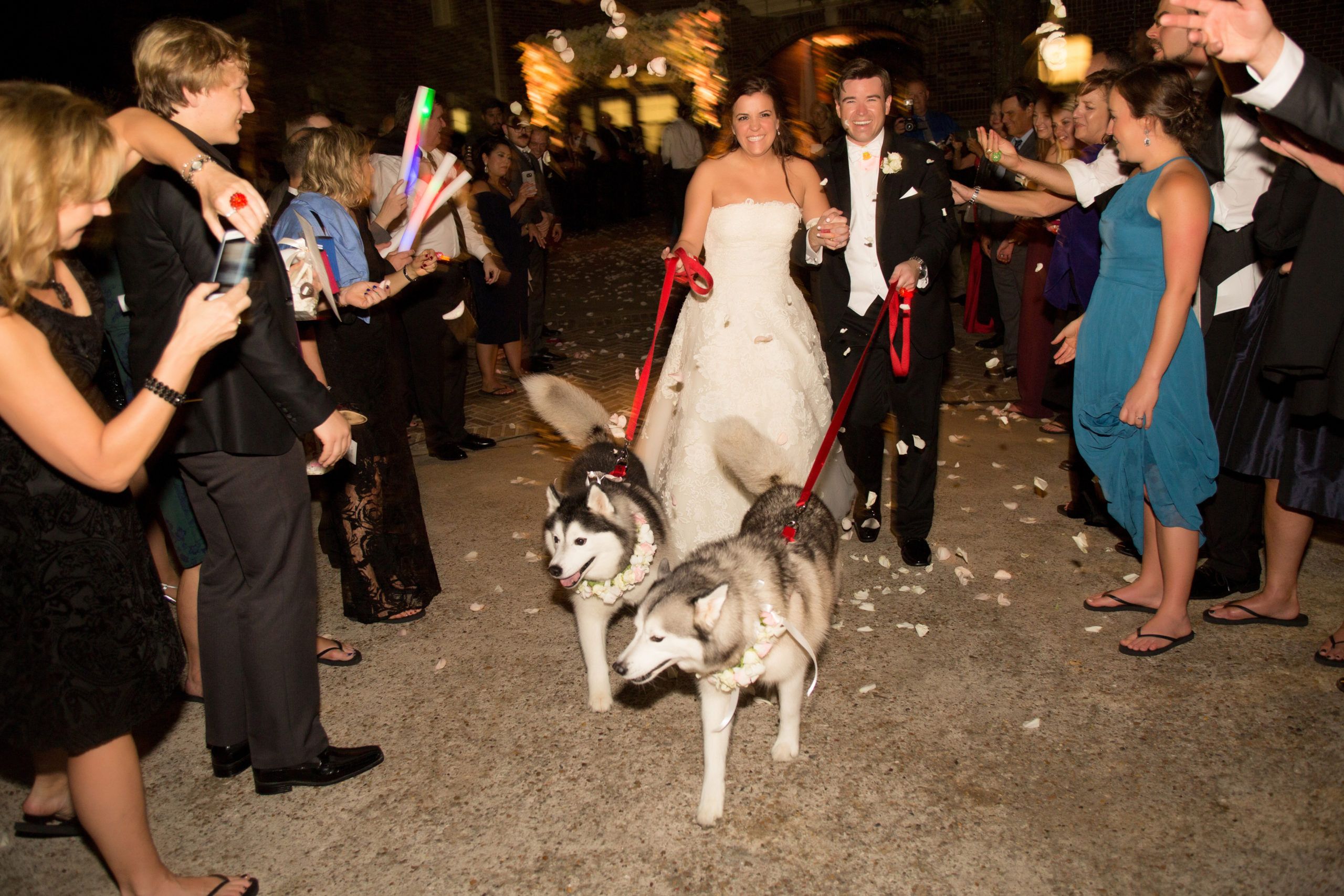 Elegant Gold Wedding at a Private Residence in Houston, TX With Dogs Leading The Bride and Groom Out Of the Venue | PartySlate