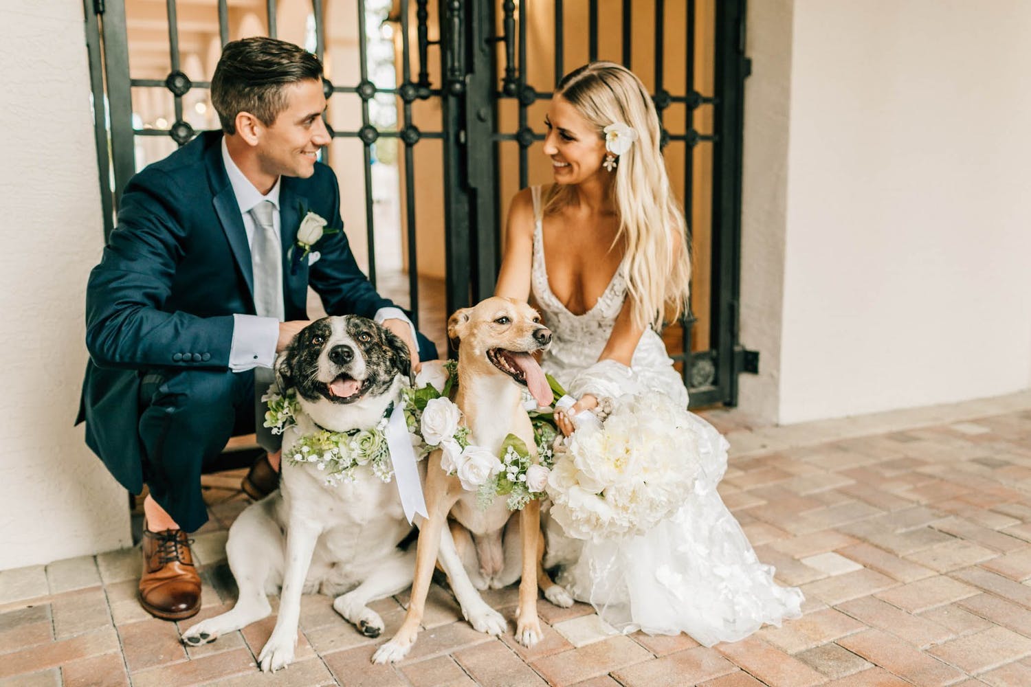 Wedding couple cuddles two dogs with floral crowns | PartySlate