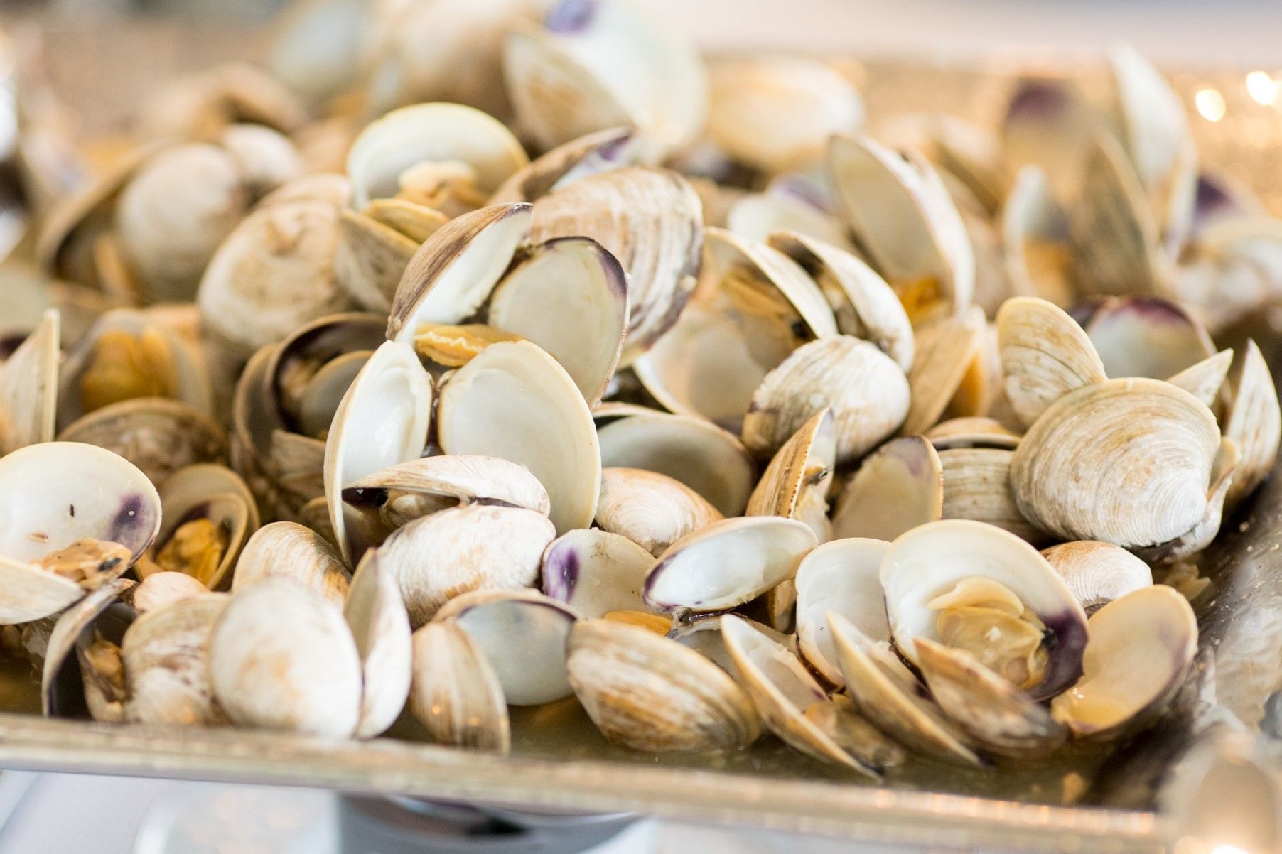 Fresh oysters for preppy wedding | PartySlate