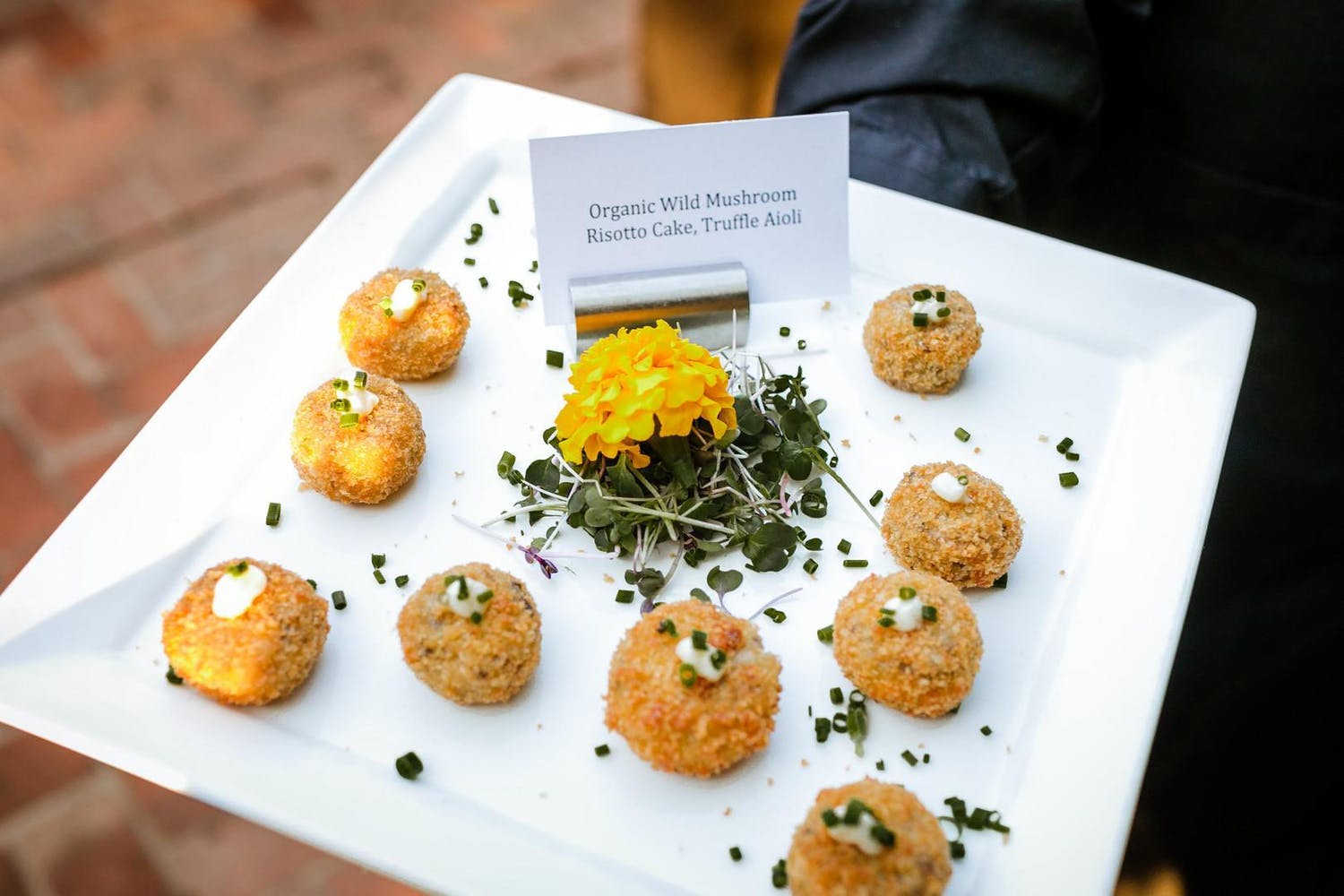 Organic wild mushroom risotto cake with garlic aioli | PartySlate