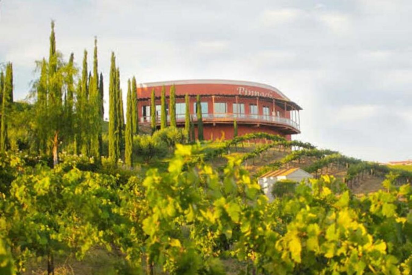 Falkner Winery in Temecula, CA | PartySlate
