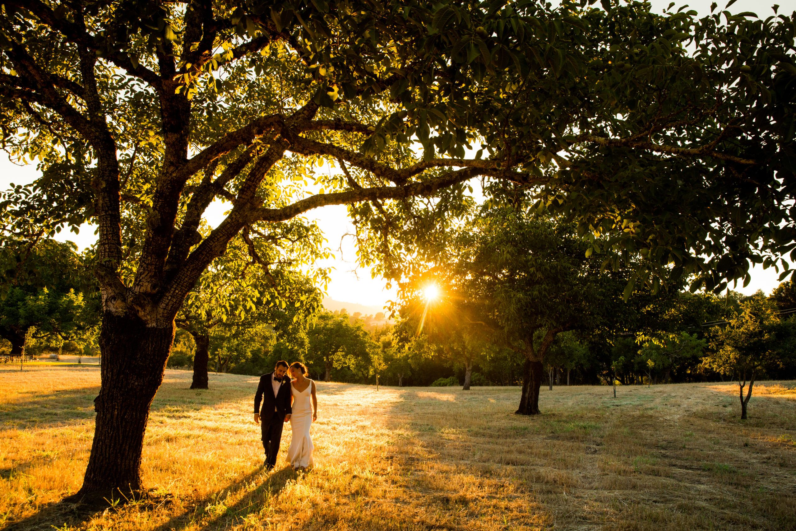 outdoor wedding at triple s ranch in california with couple walking through grass and trees with sun setting behind them | PartySlate