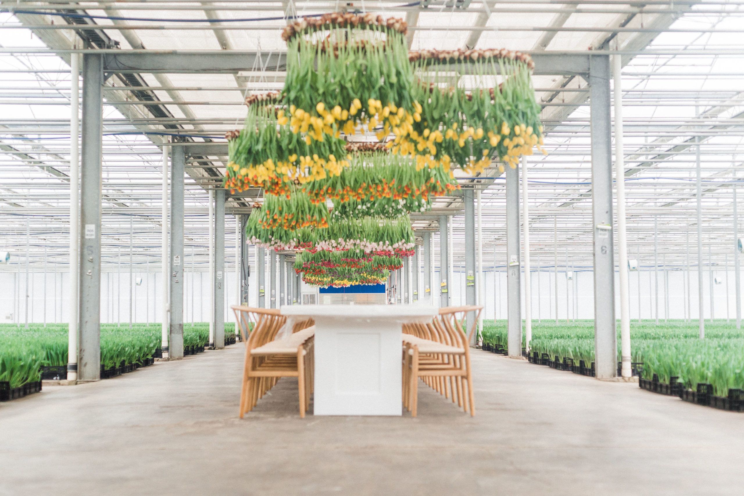 Field to Vase Dinner Experience at Bloomia in Washington DC