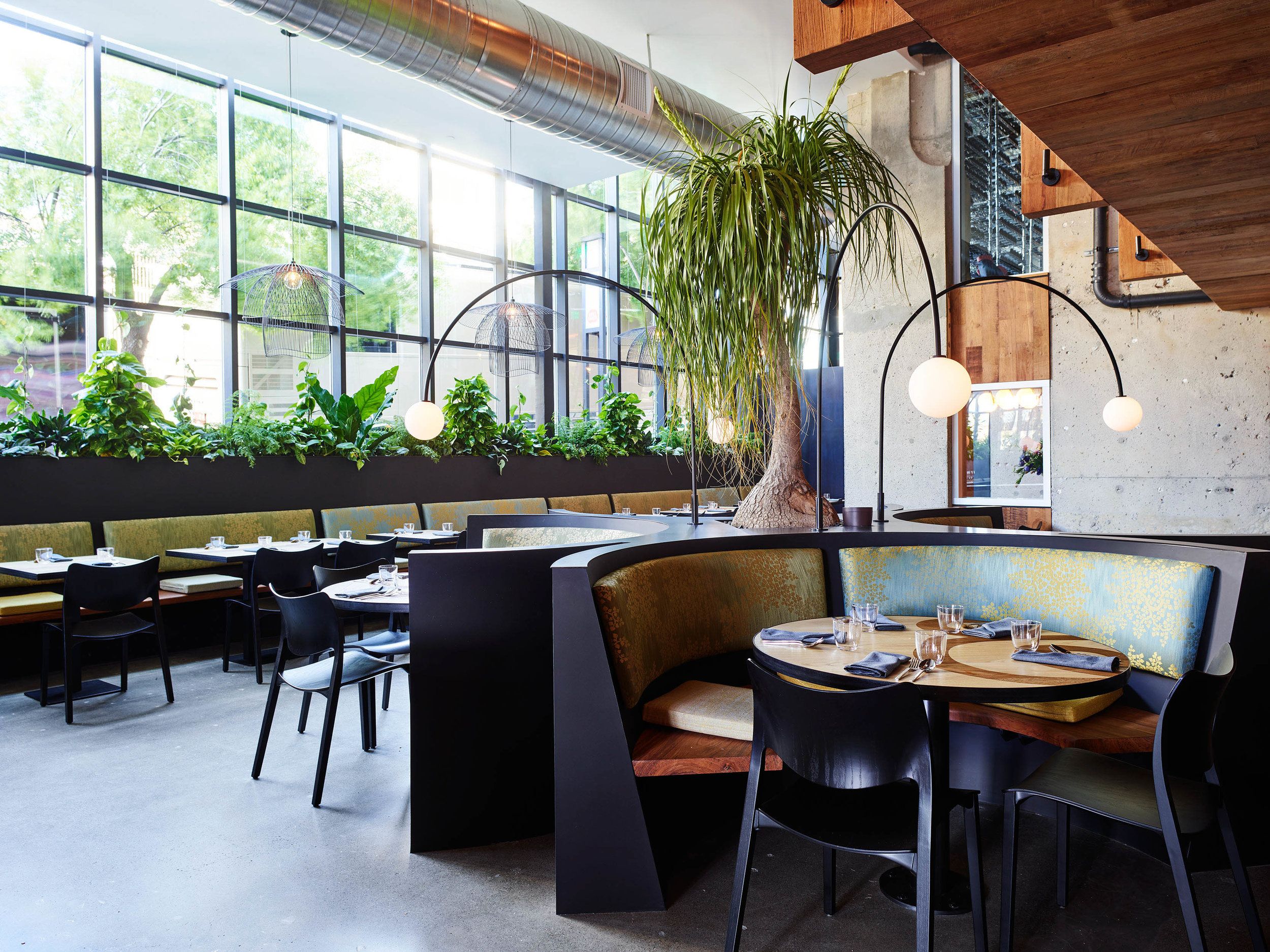 main dining room area of san francisco restaurant Nari with natural lighting through the windows | PartySlate