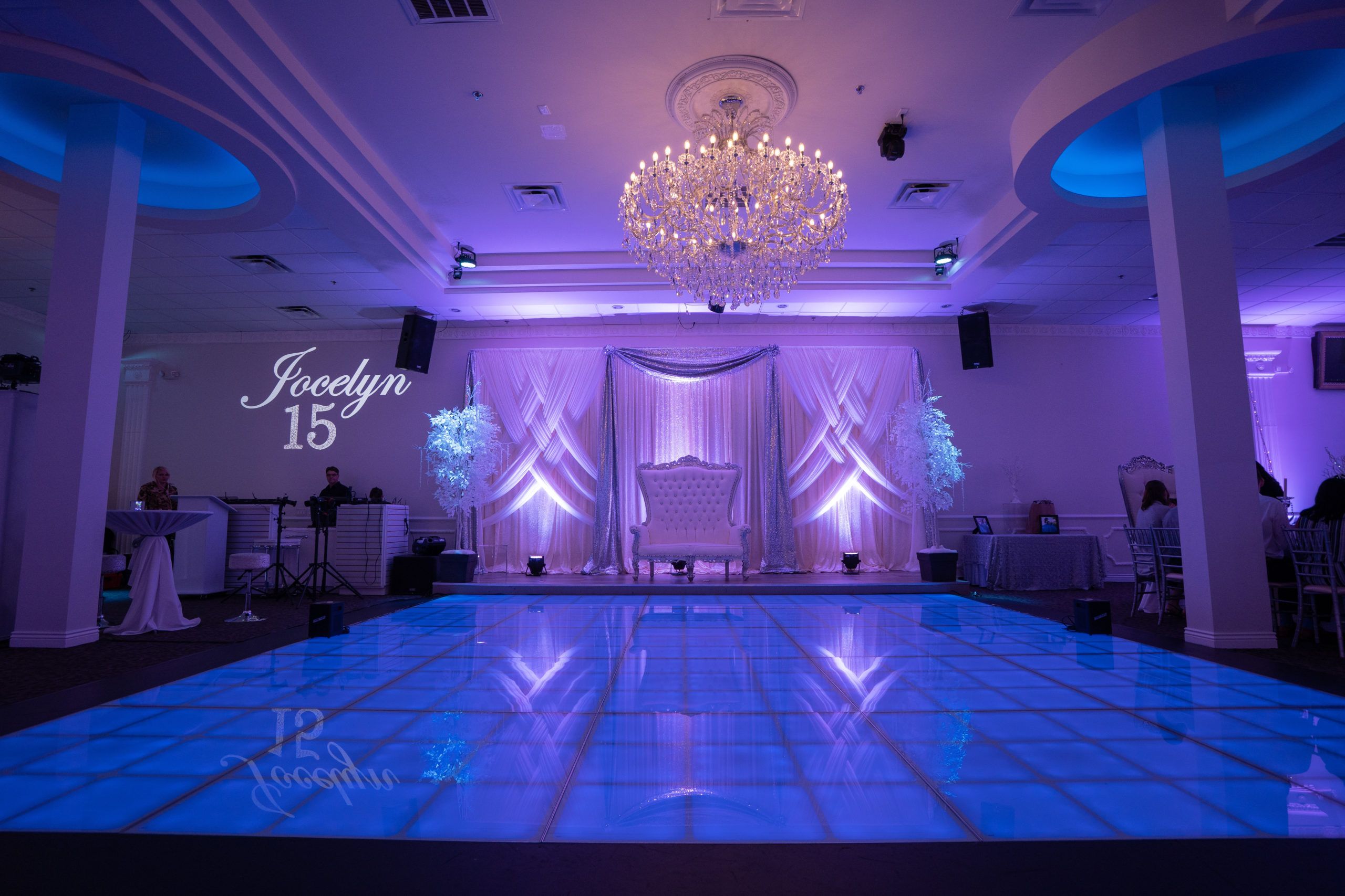 Posh Winter Wonderland Sweet 16 | PartySlate