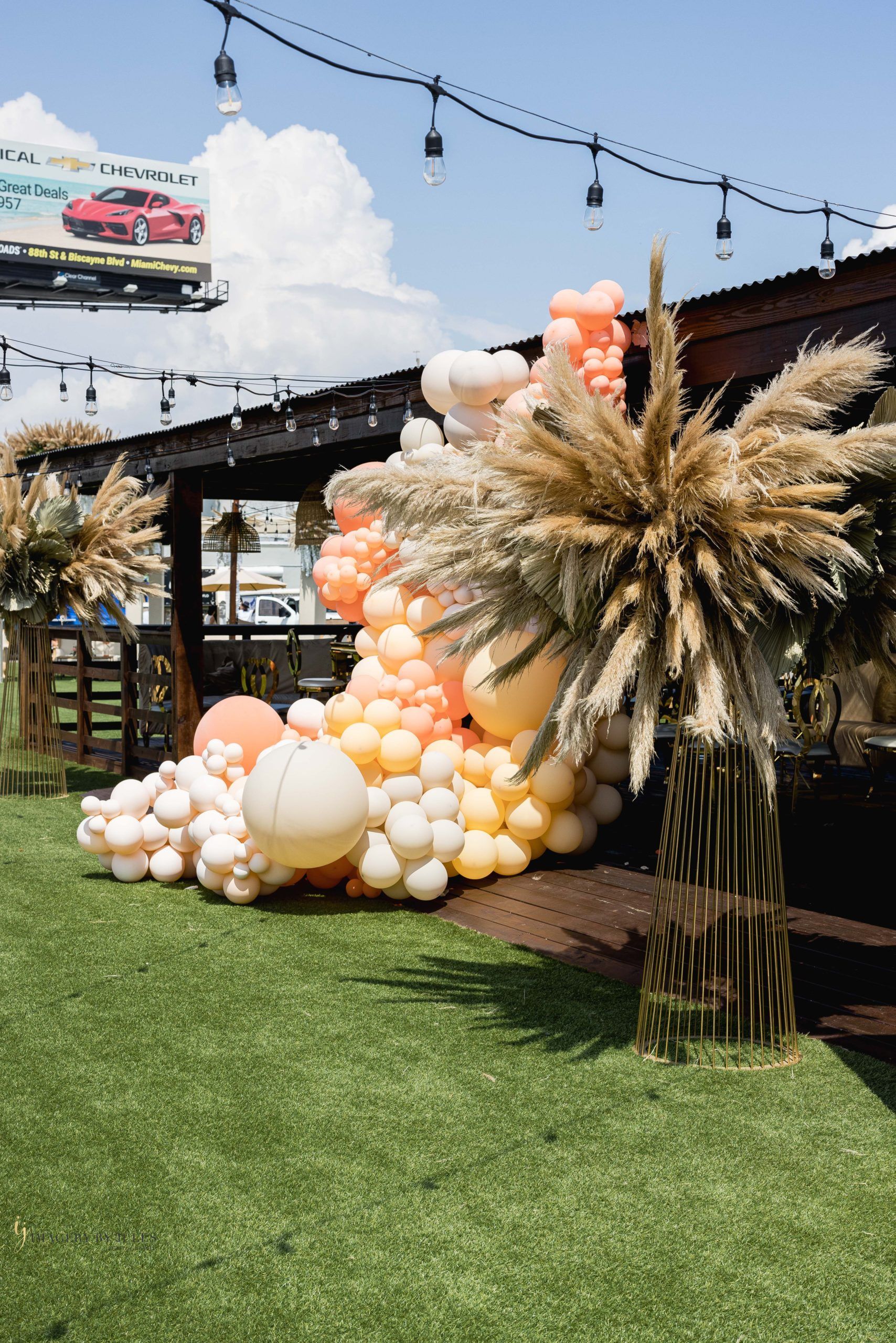 Summer Fete, Picnic in the Sun