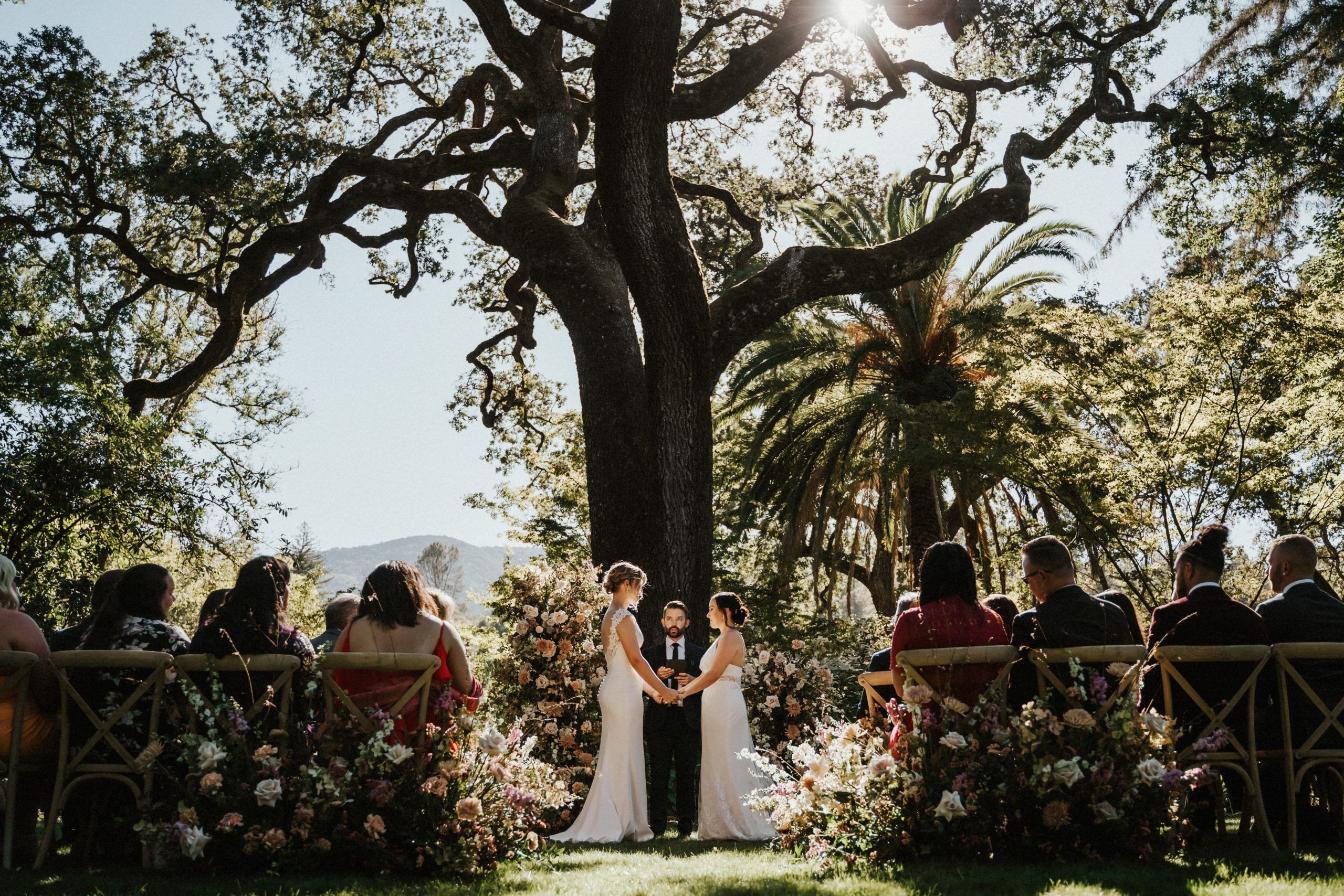 Sophisticated Wedding at Beaulieu Garden in Rutherford, California