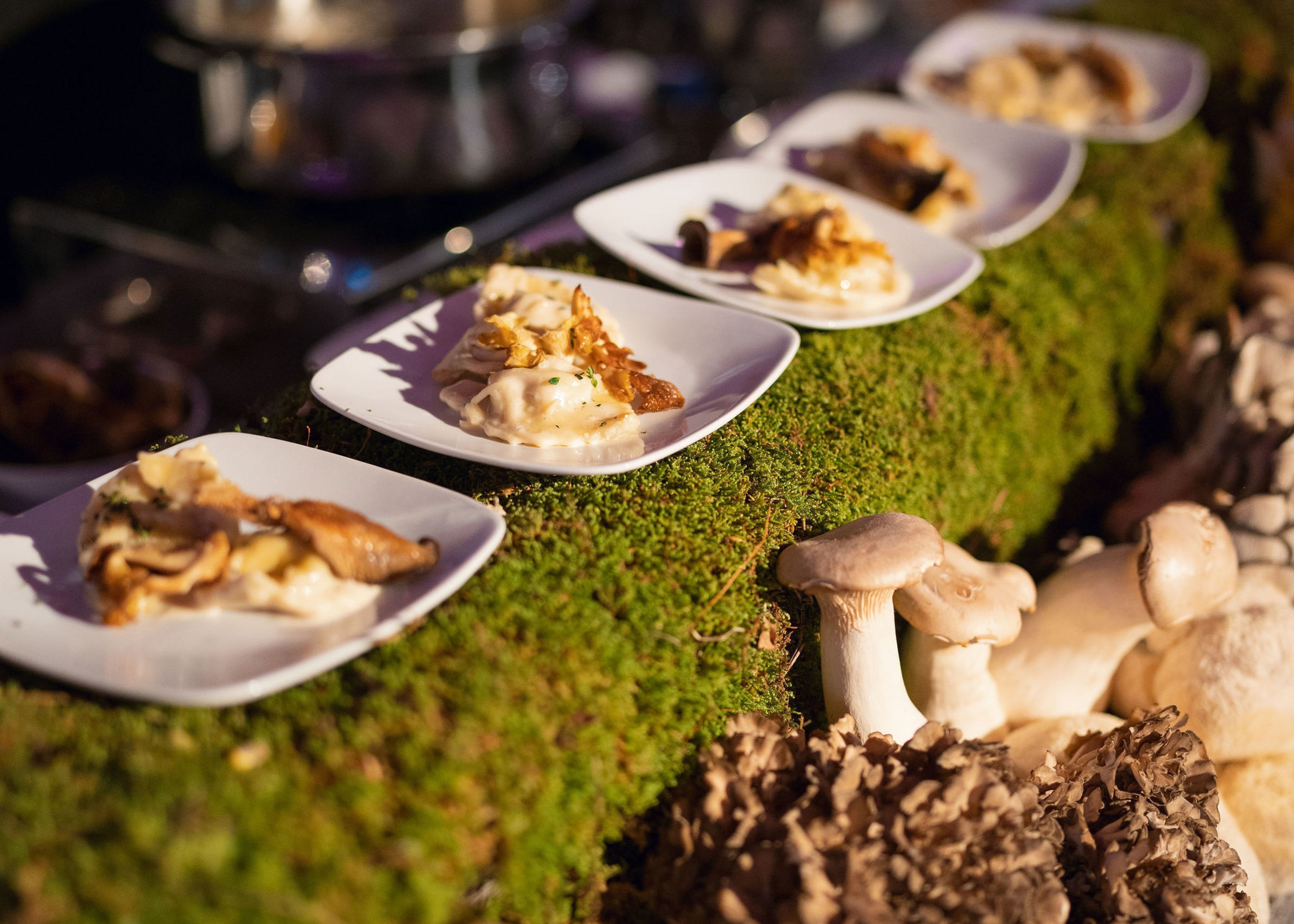 Mushroom tortellini.