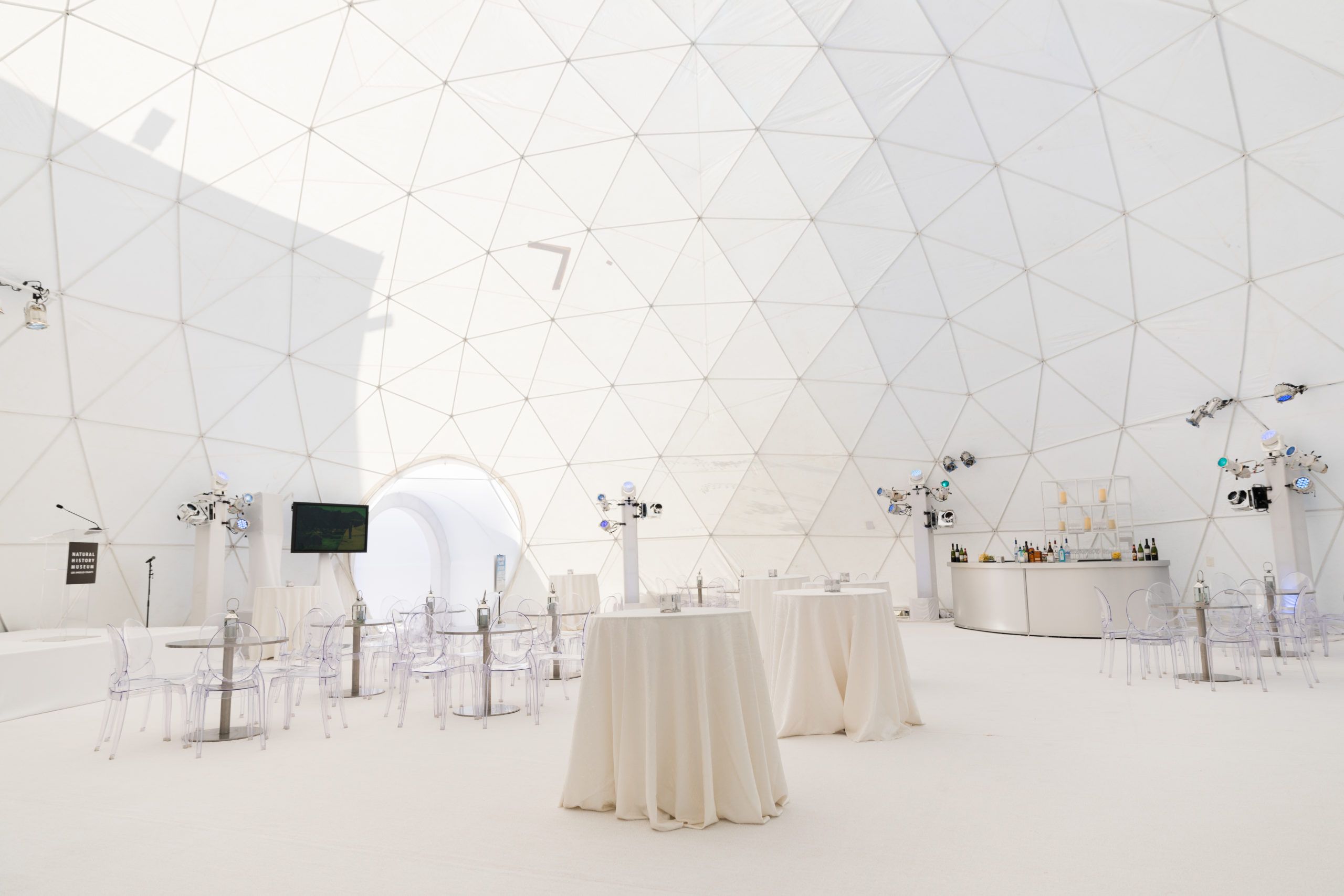 Antarctic Dinosaur Themed Gala