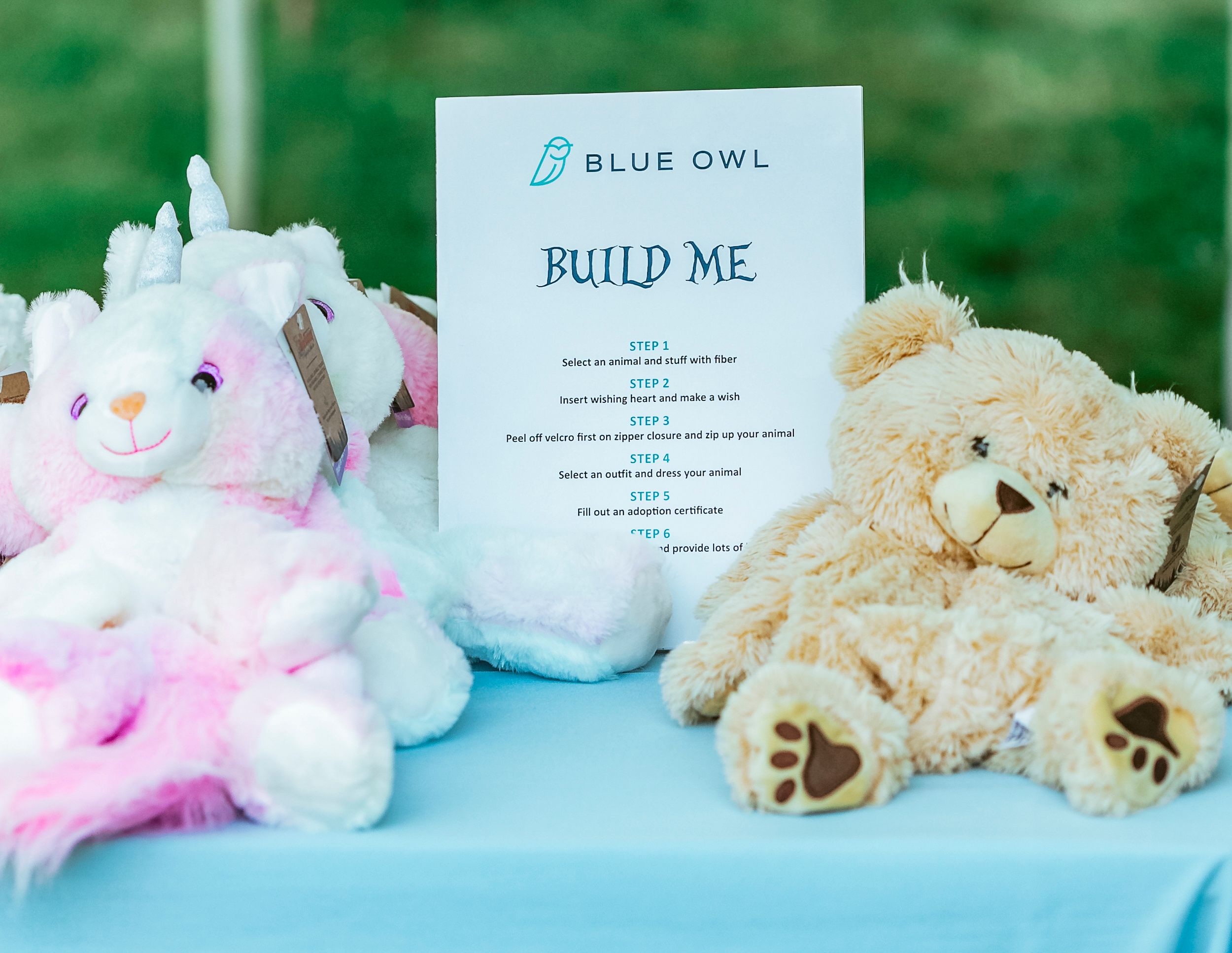 Blue Owl in Wonderland- Corporate Family day picnic