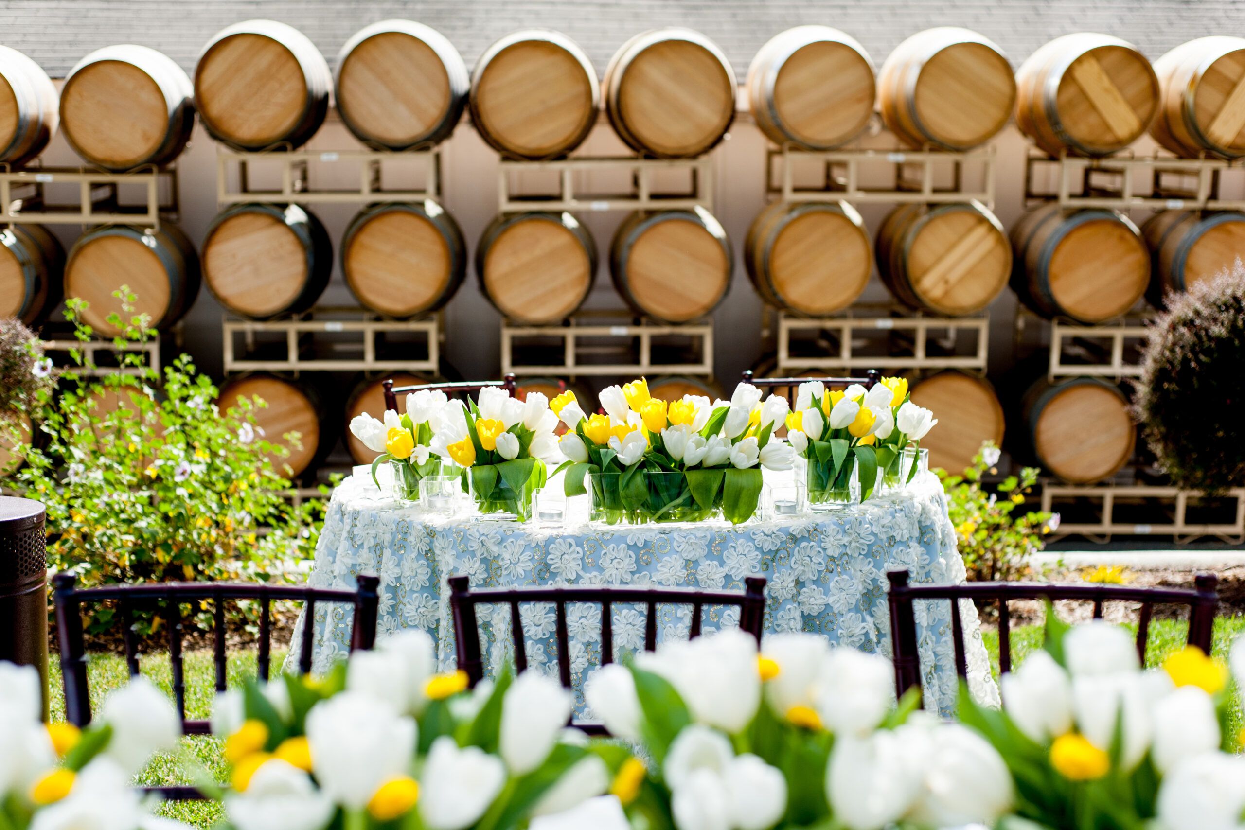 Outdoor Wedding at B.R. Cohn Winery in Glen Ellen, California