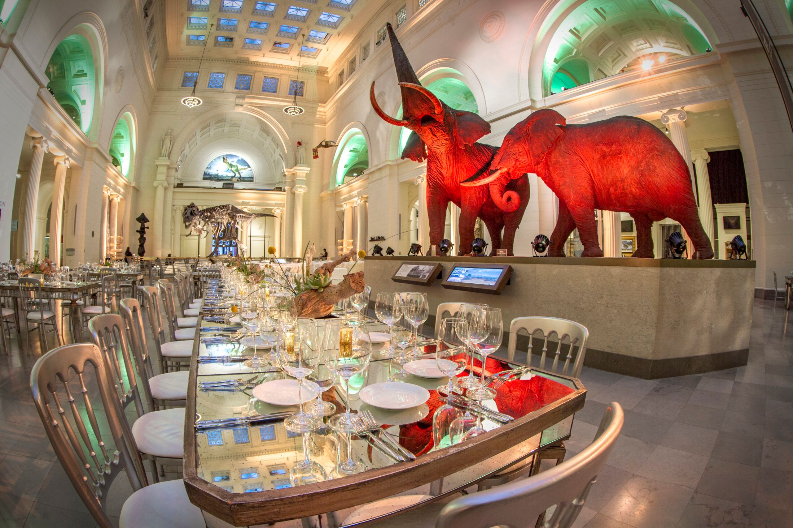 Private Event at Field Museum