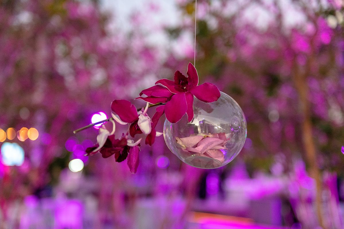 Vibrant Purple Bat Mitzvah at The Sacred Space Miami in Miami, Florida