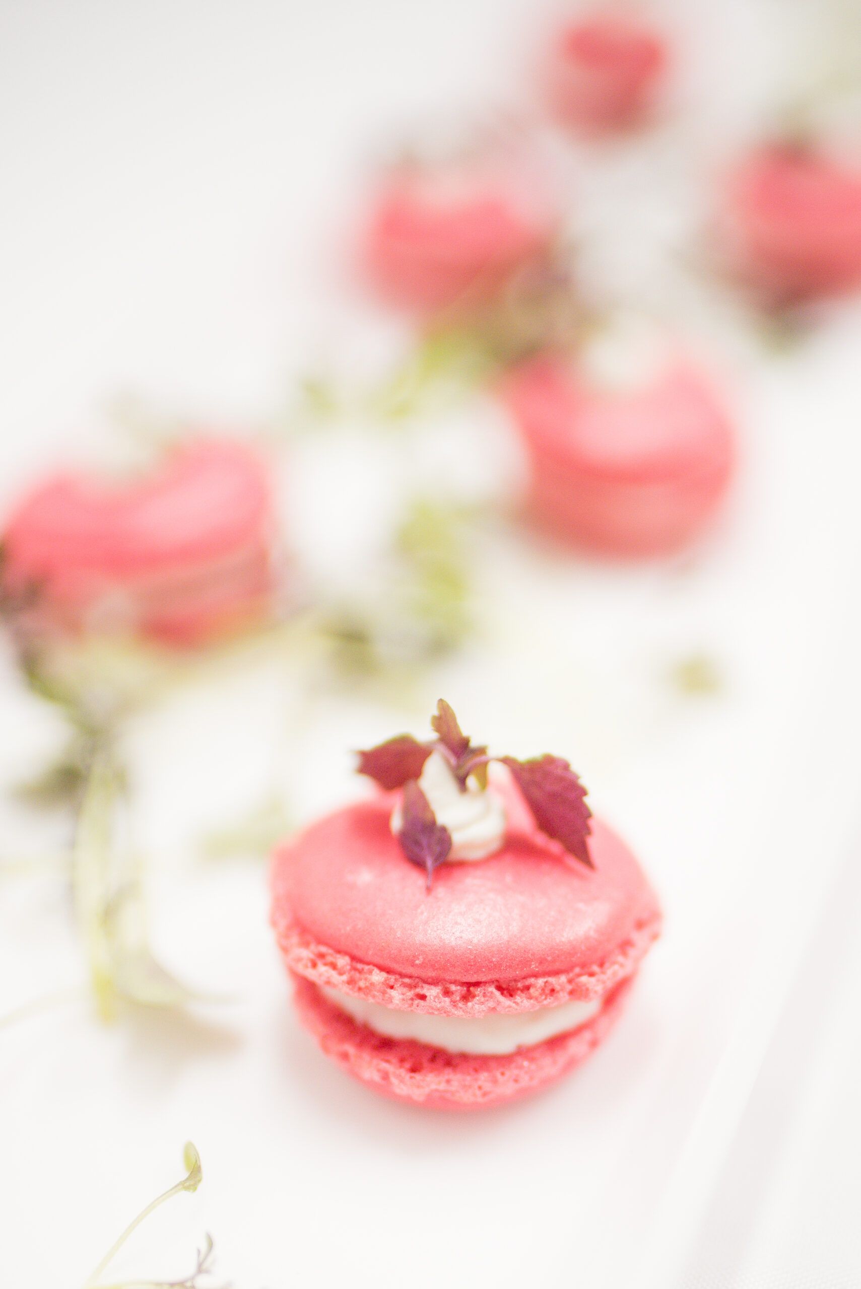 Colorful and Vibrant Corporate Dinner Party at Project Farmhouse in New York, New York