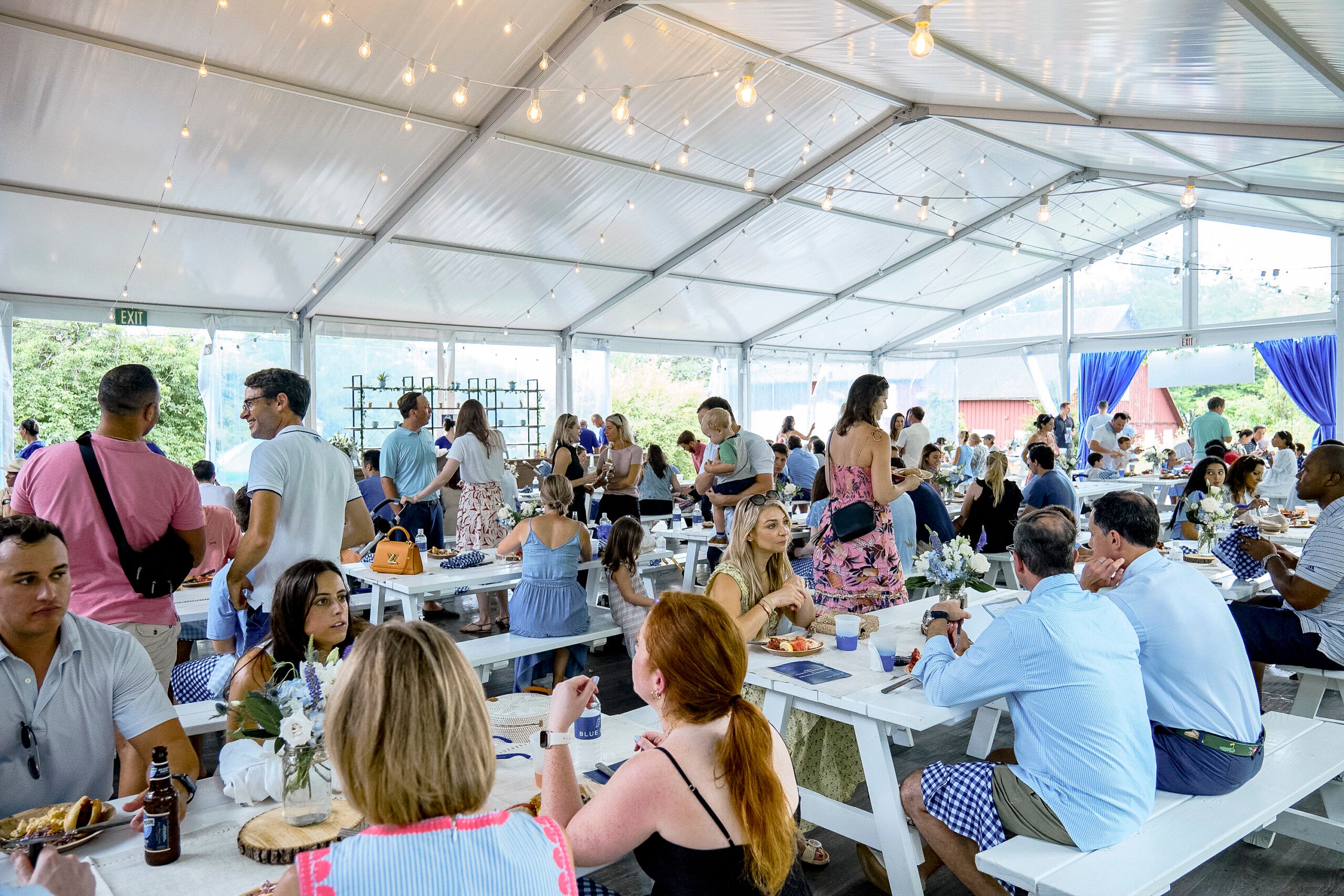 Corporate Picnic Family fun day at the Audubon