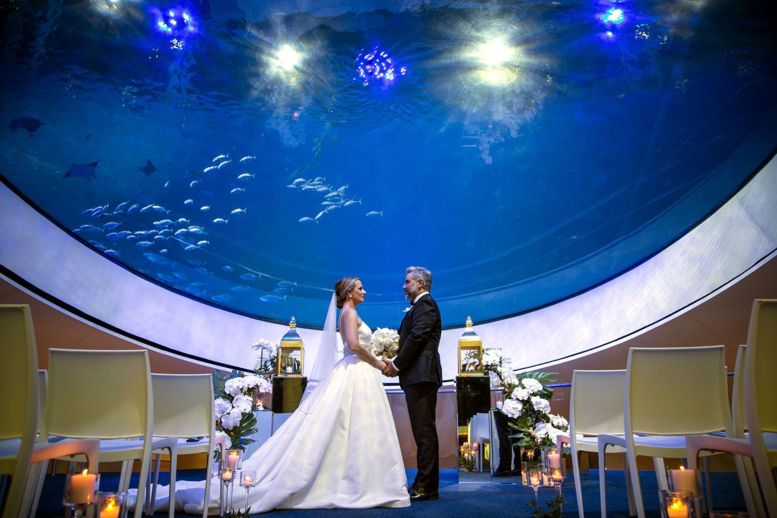 Aquarium space at The Phillip and Patricia Frost Museum of Science, a unique Miami wedding venue.