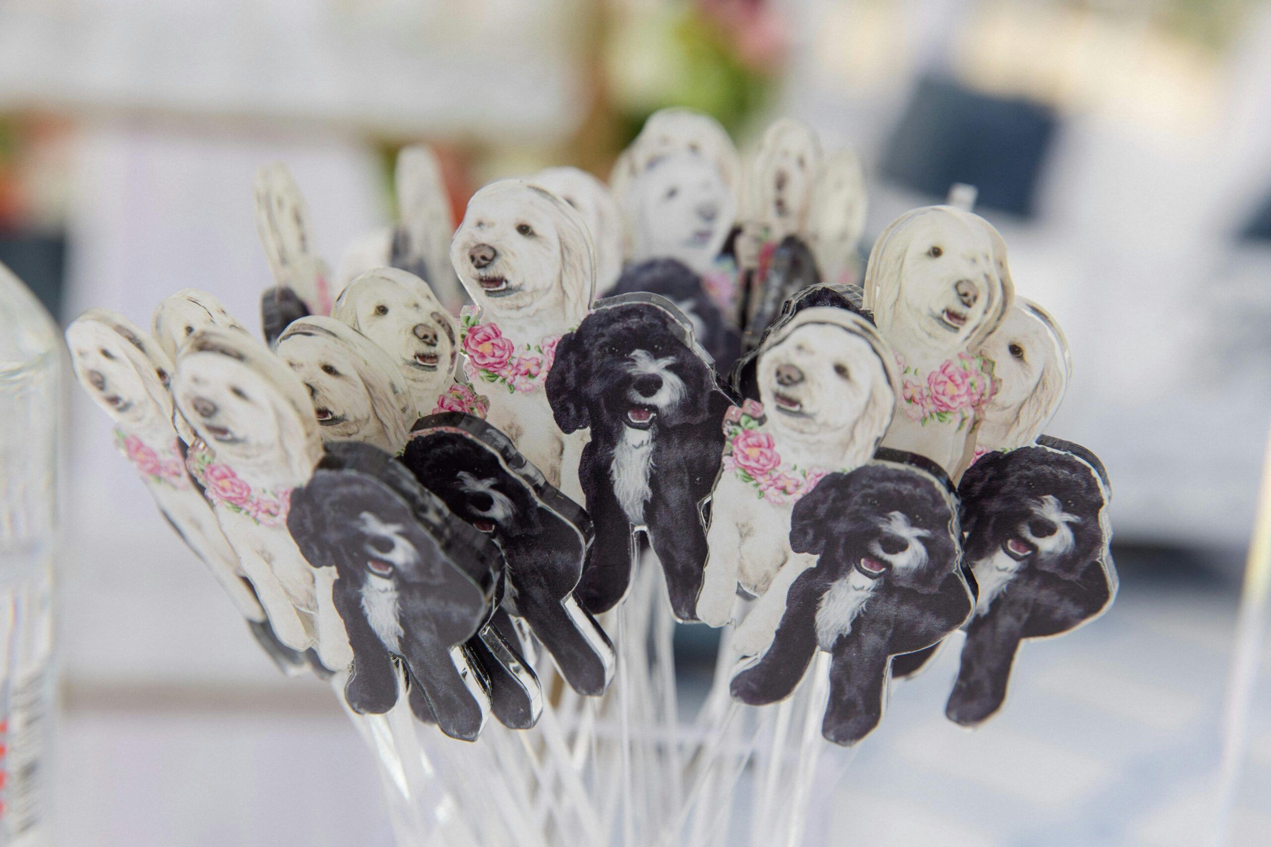 Beautiful Wedding at Arlington Hall in Dallas, Texas