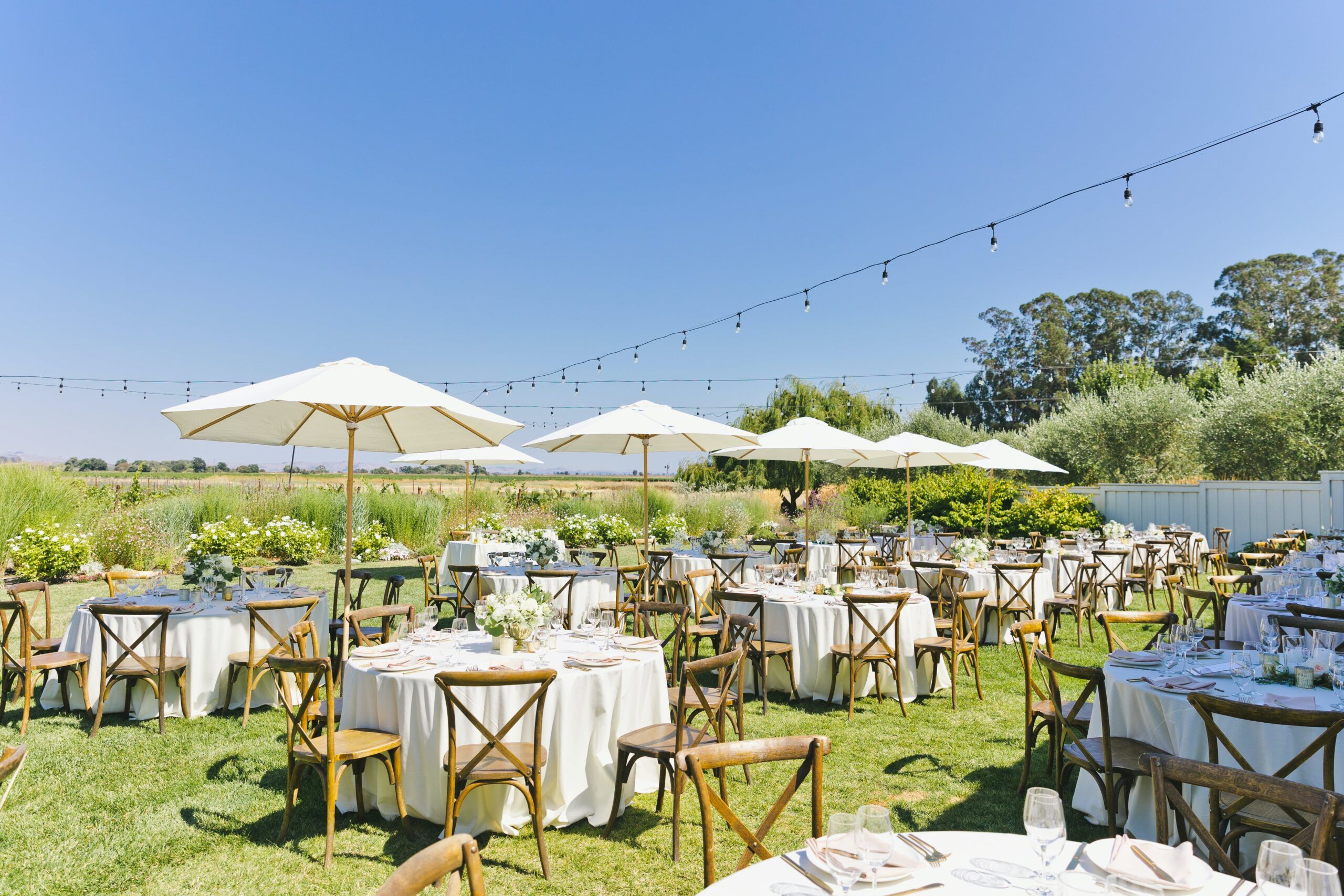 Love at The Barn at Harrow Cellars