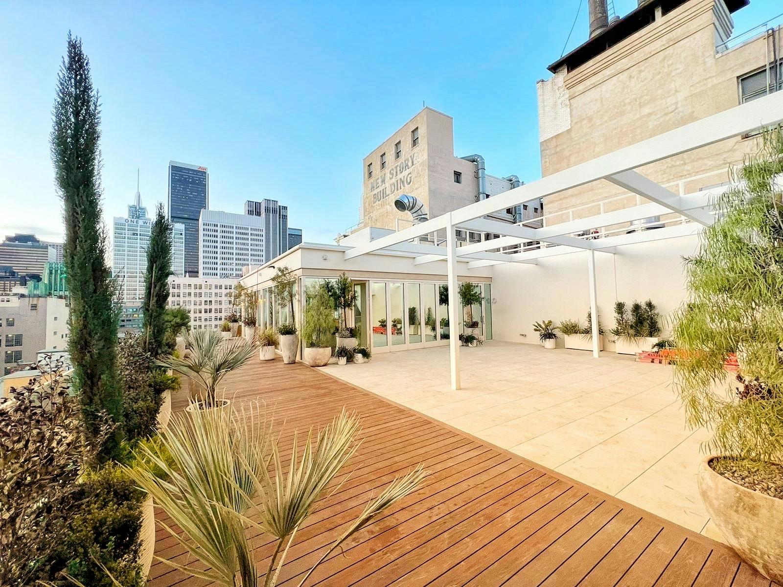Savanna Rooftop