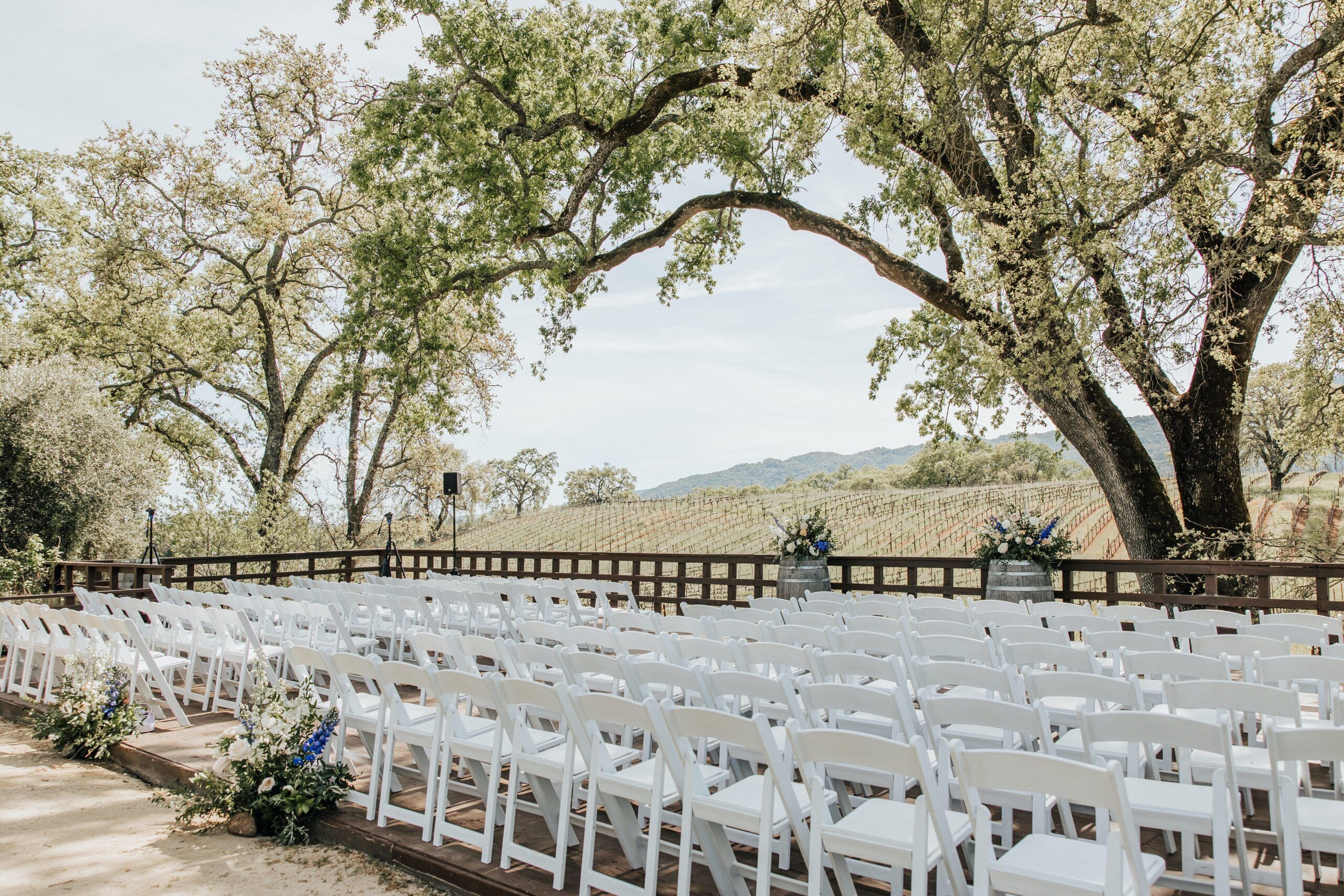 Unforgettable Wedding at B.R. Cohn Winery in Glen Ellen, California