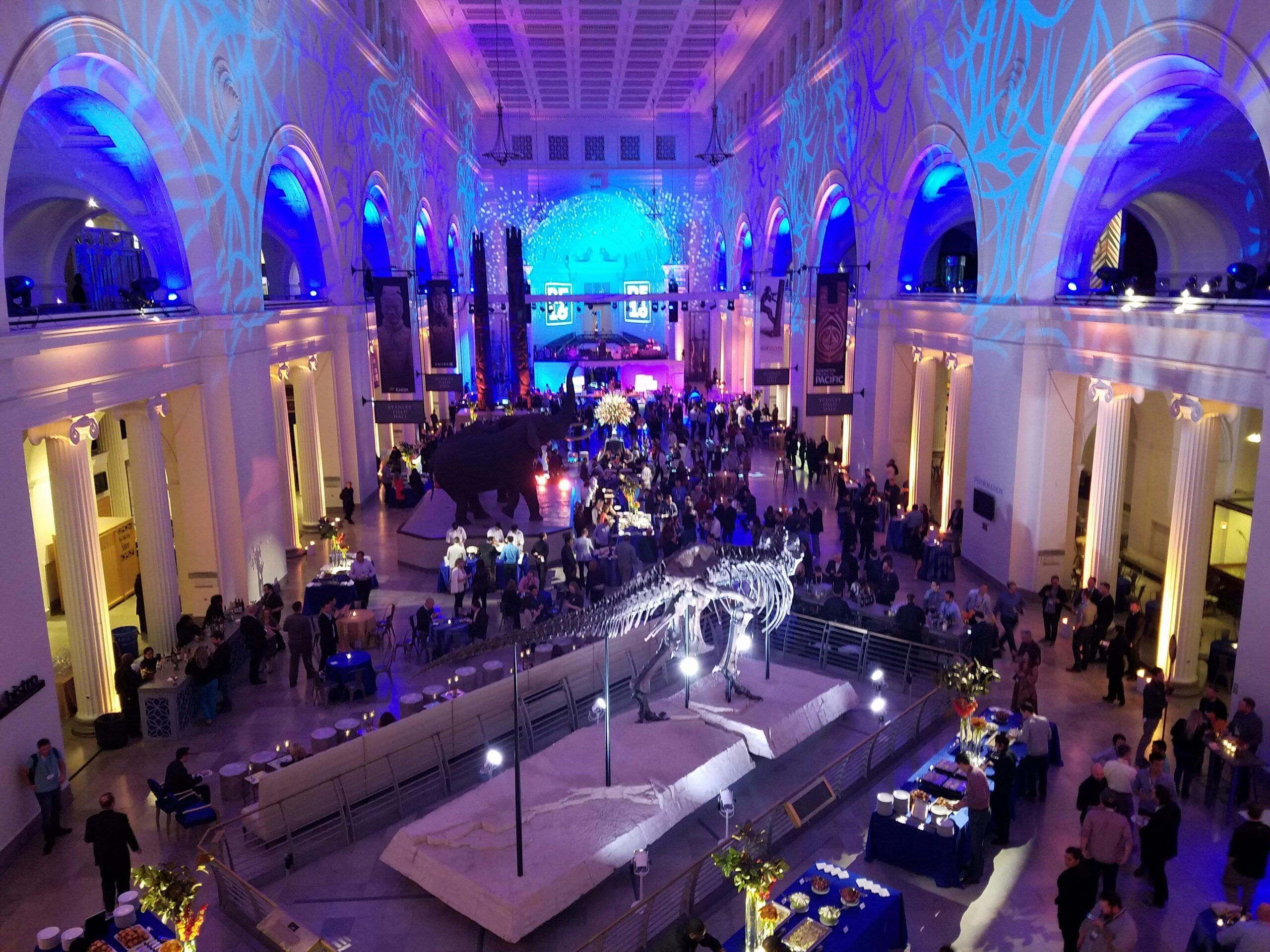Corporate Party Celebration at Chicago's Field Museum
