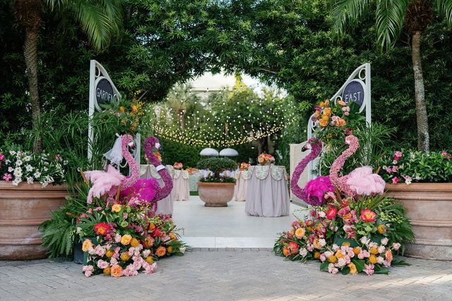 Featured photo from A Toast Under the Stars