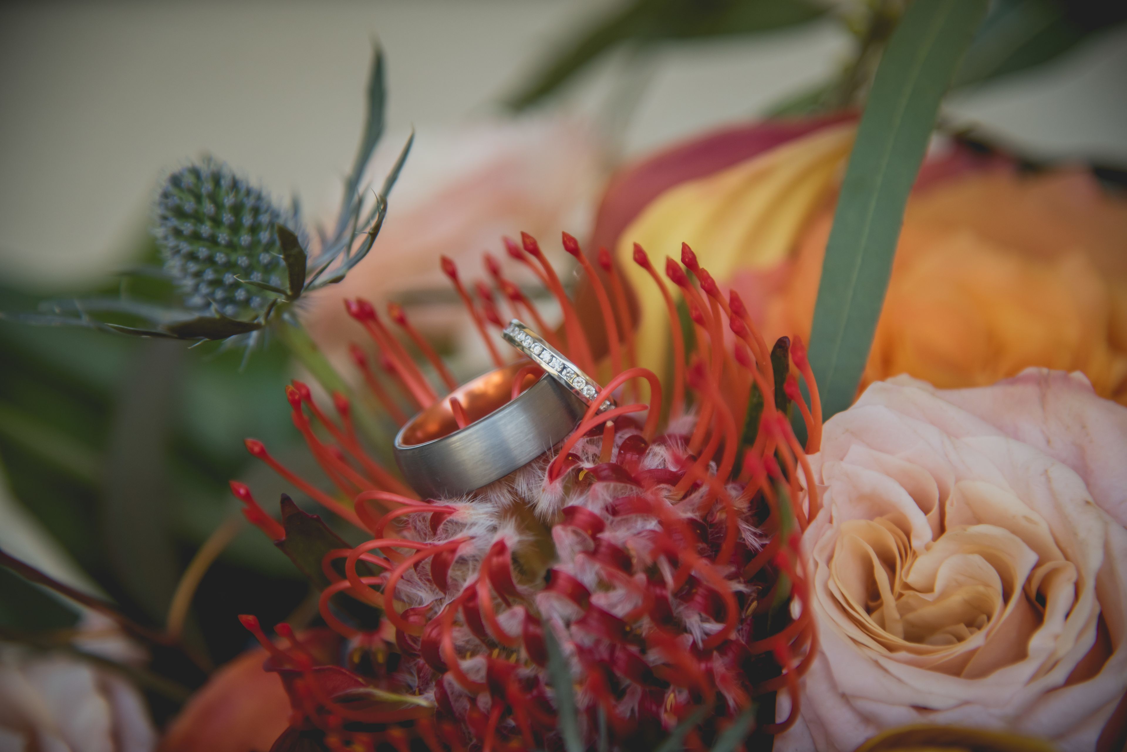 Cover photo of Northern Red Photography