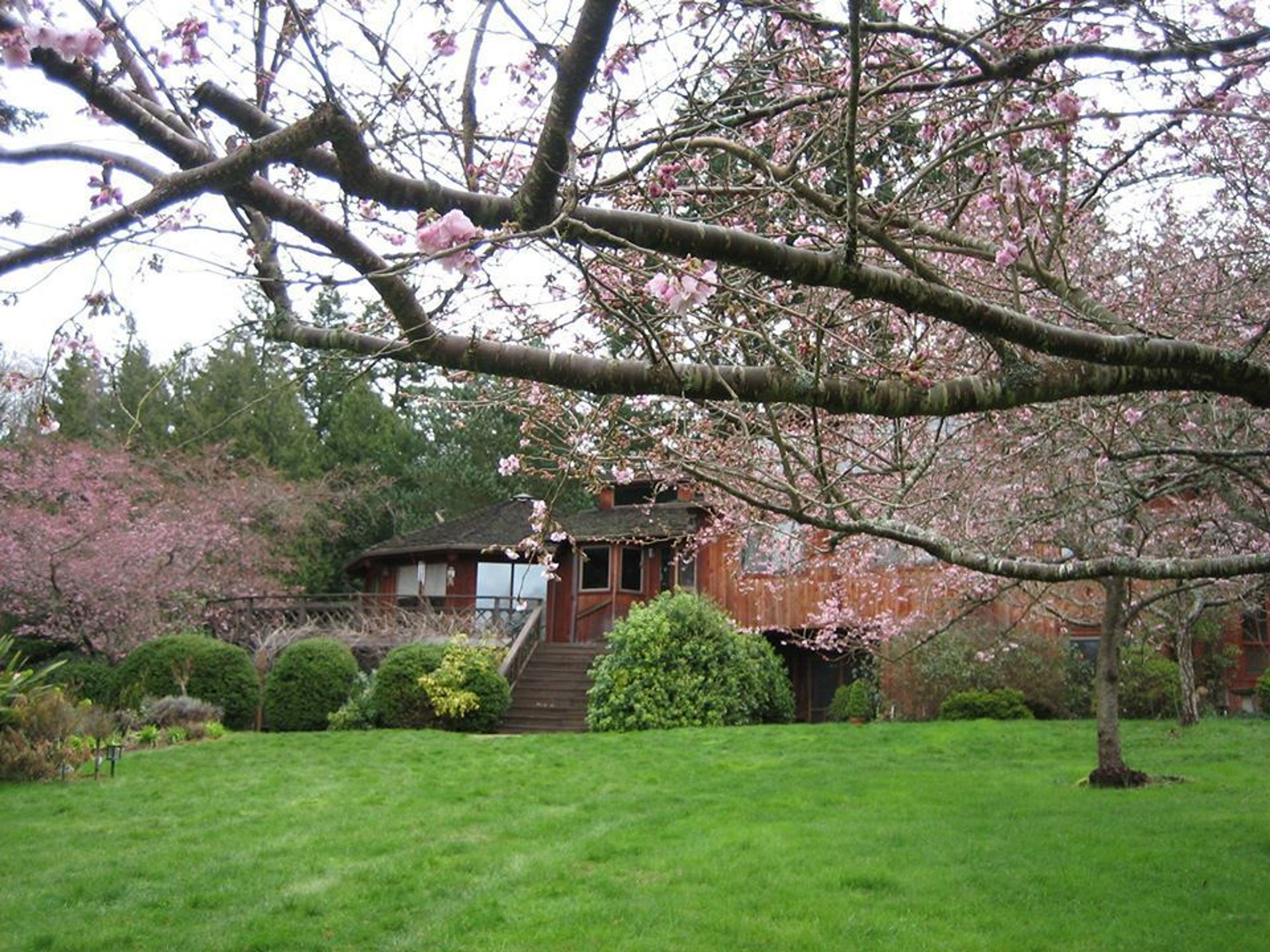 Cover photo of Holly Lane Gardens