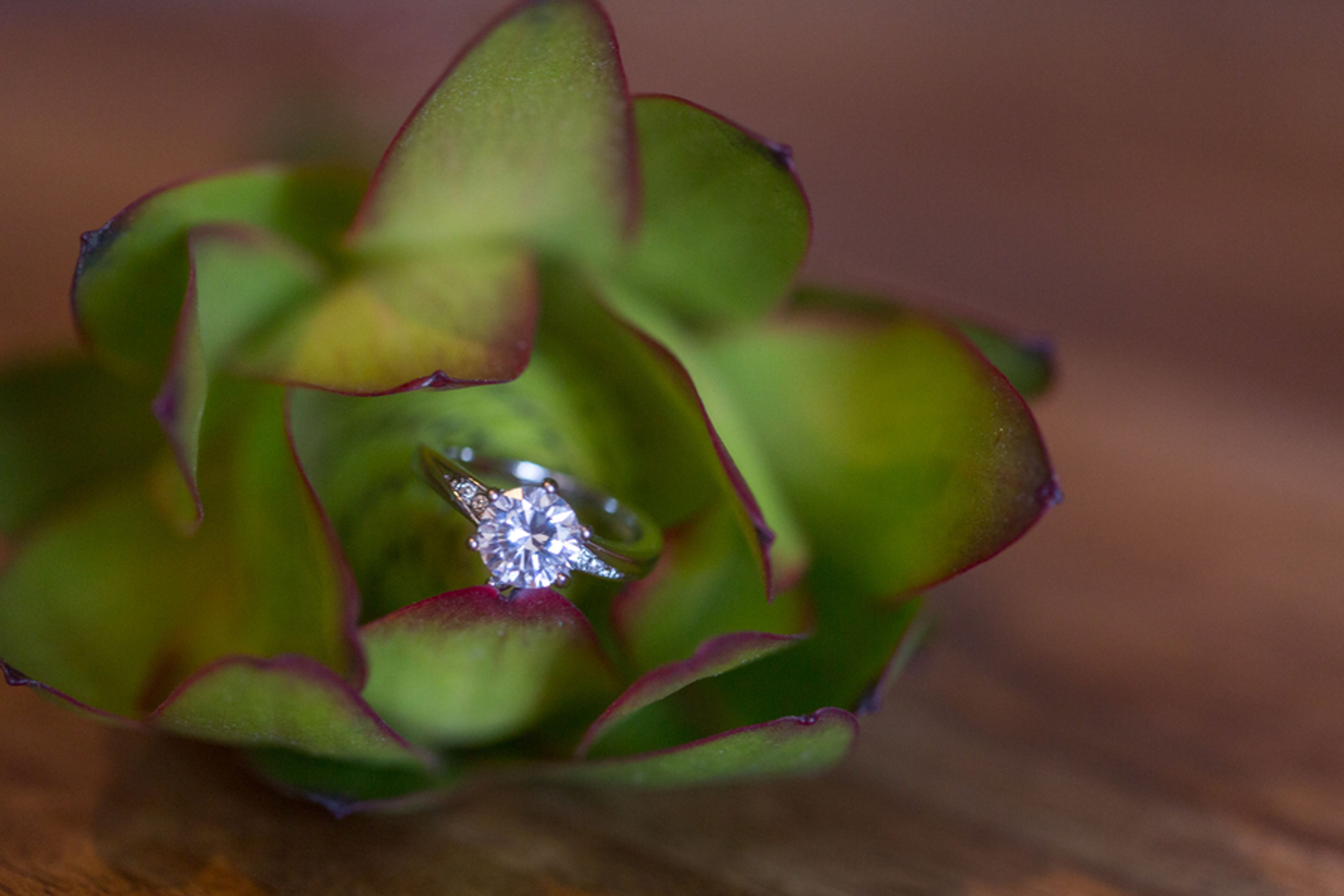 Cover photo of Emily Leis Photography