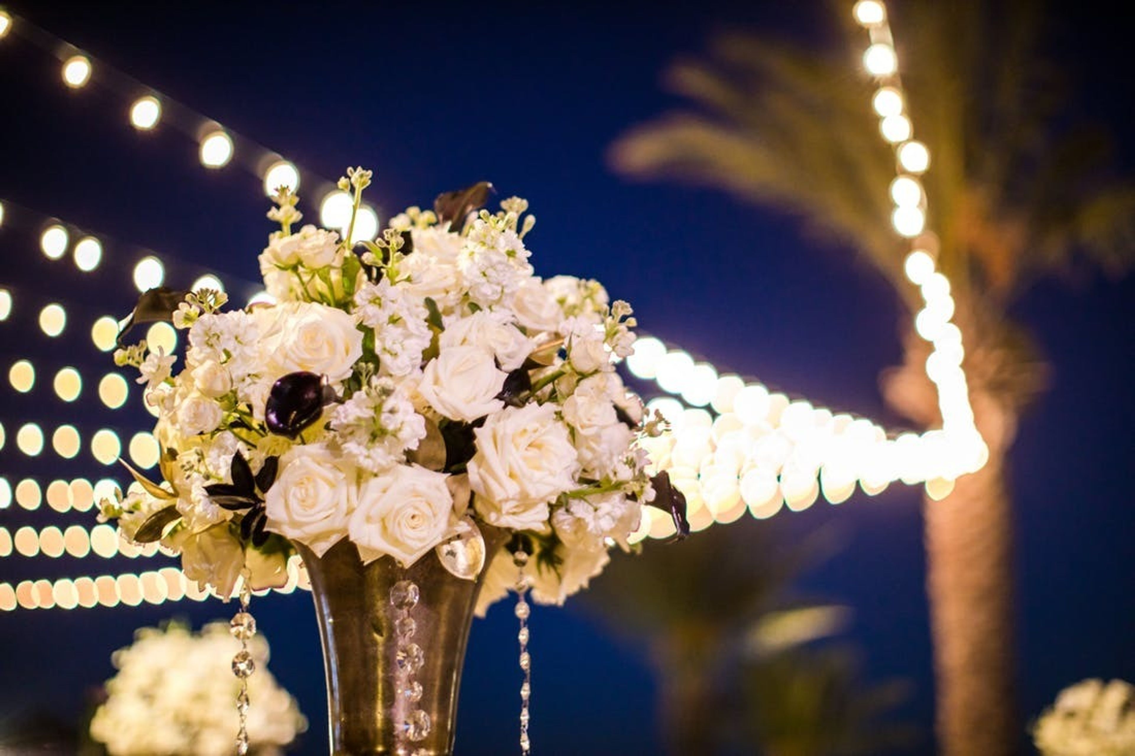 Cover photo of Main Event Cabo