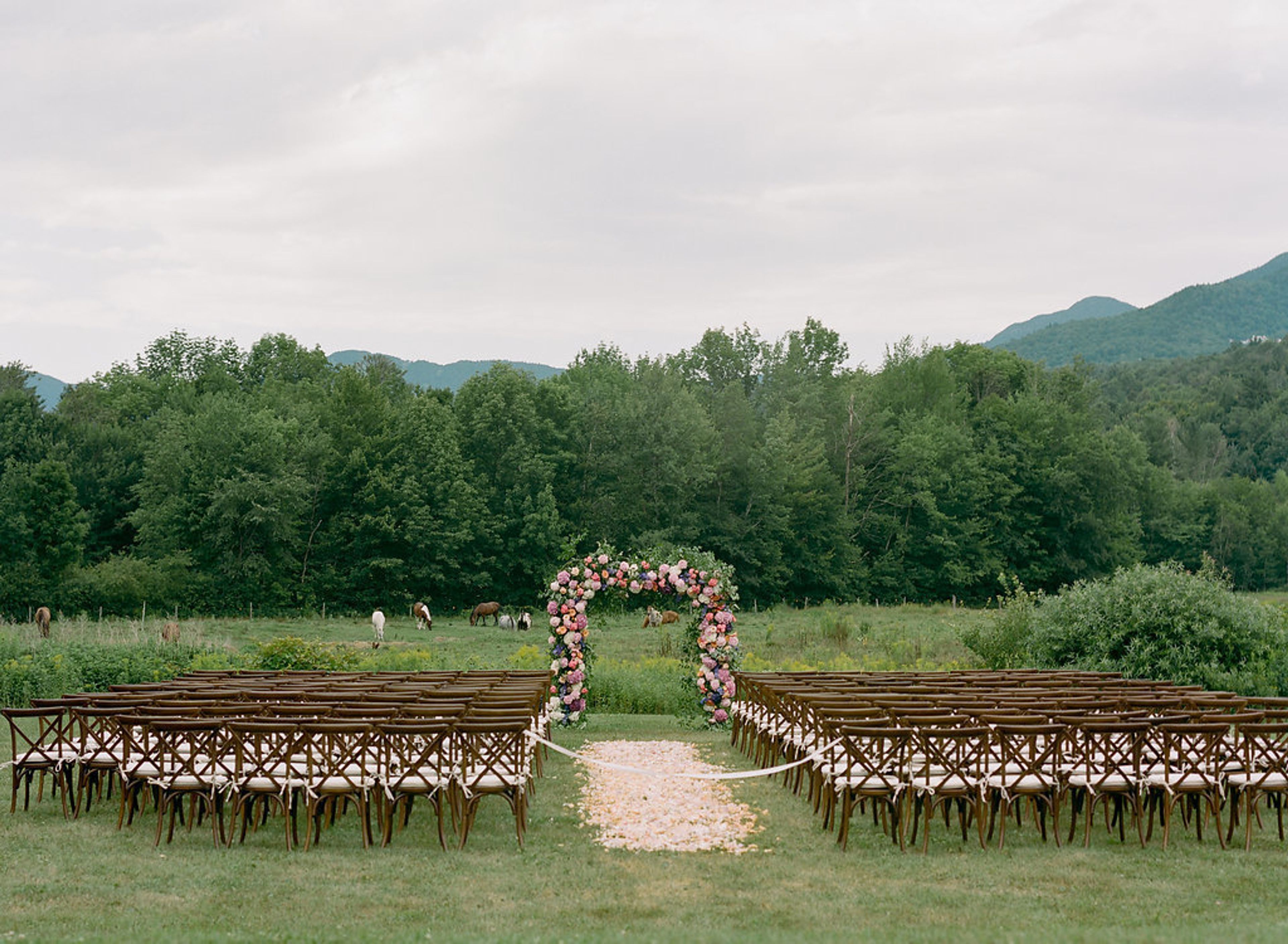 Cover photo of Norman & Blake