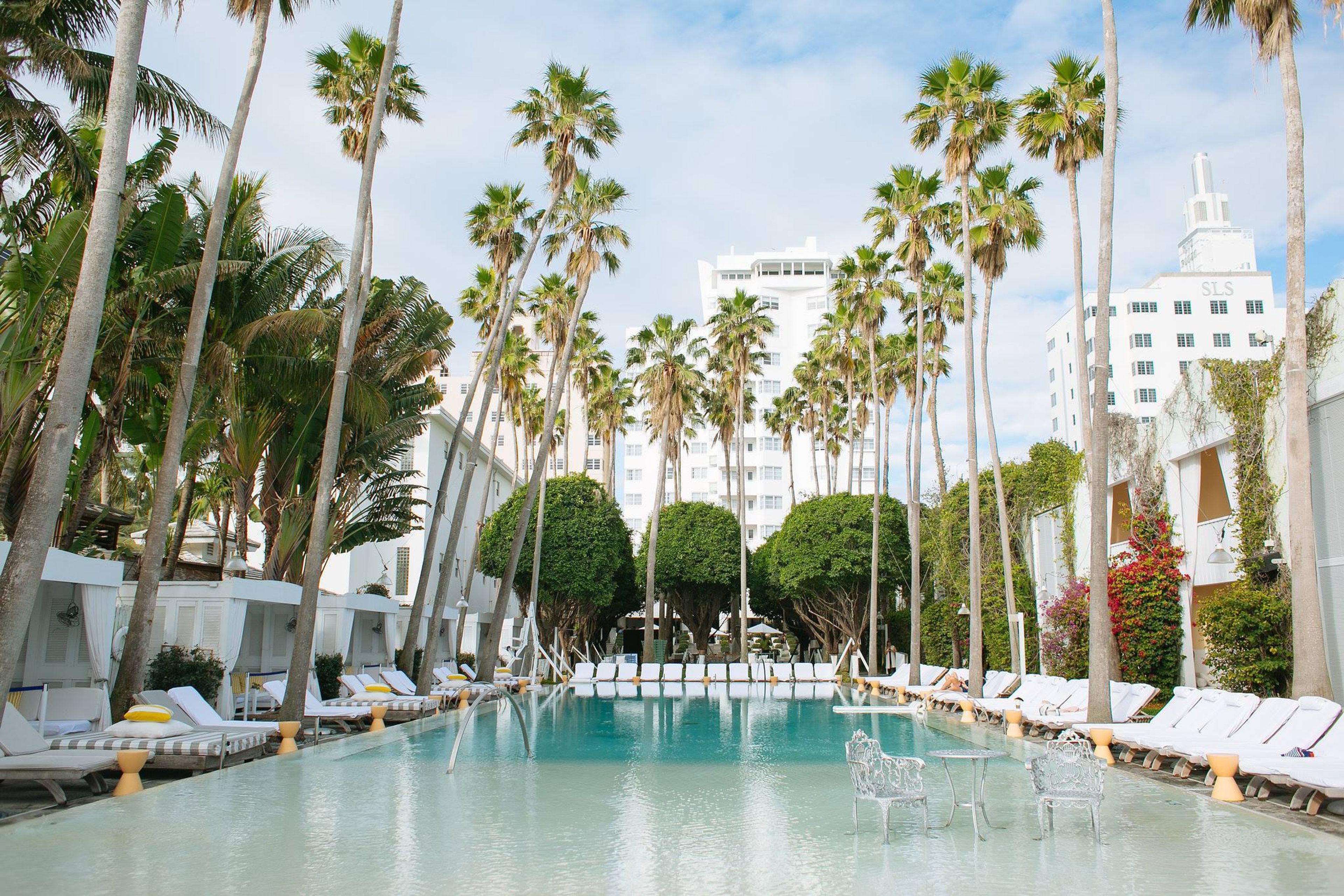 Cover photo of Delano South Beach