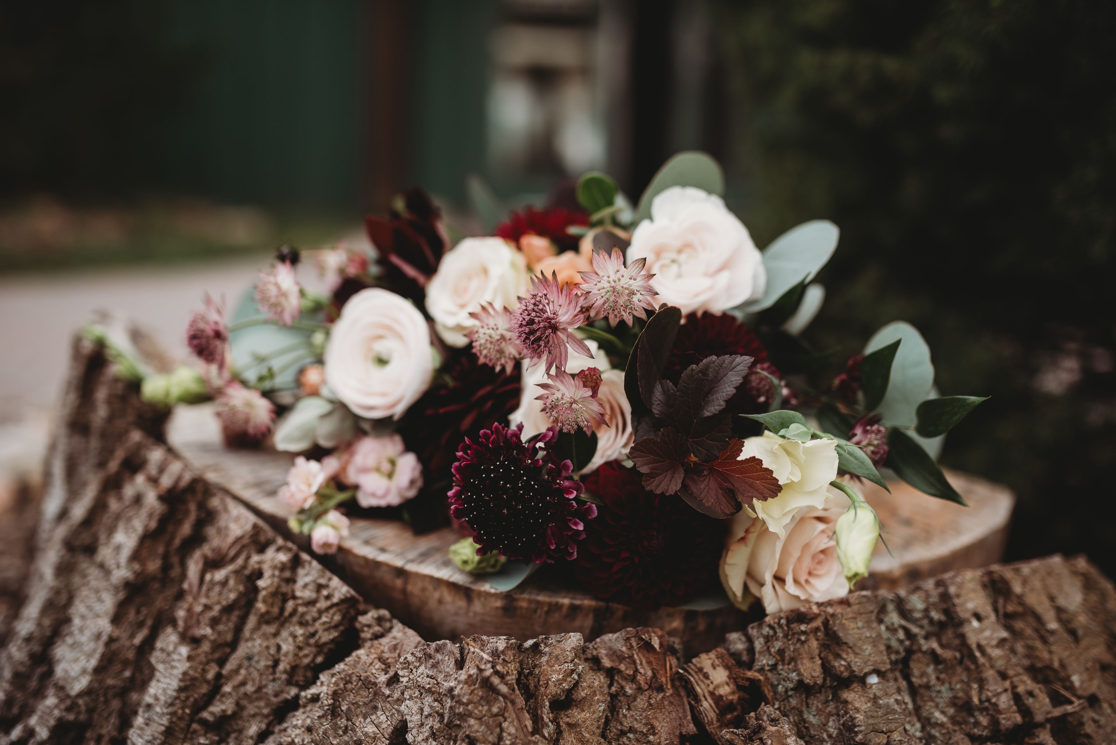 Cover photo of Michaela Elizabeth Creative